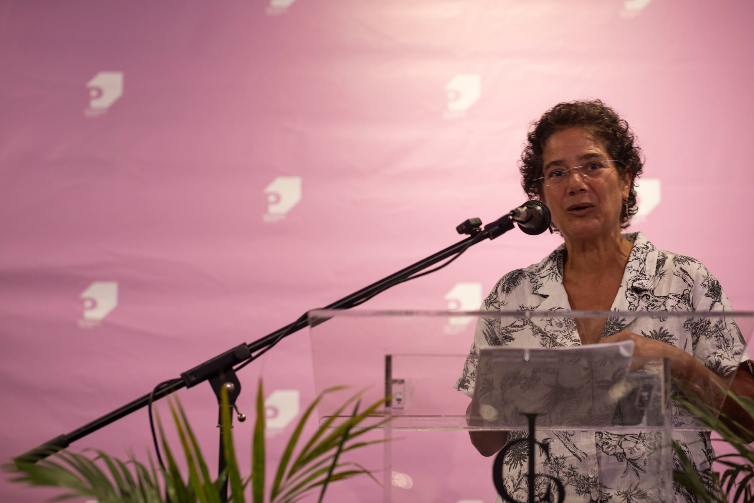 Lisa Ladner le habría solicitado al artista Garvin Sierra Vega una obra sobre la deuda pública de Puerto Rico y más adelante le advirtiría que ello representaría un posible conflicto interés por su rol de cónsul de Suiza, por lo que tendría que consultar con sus superiores.