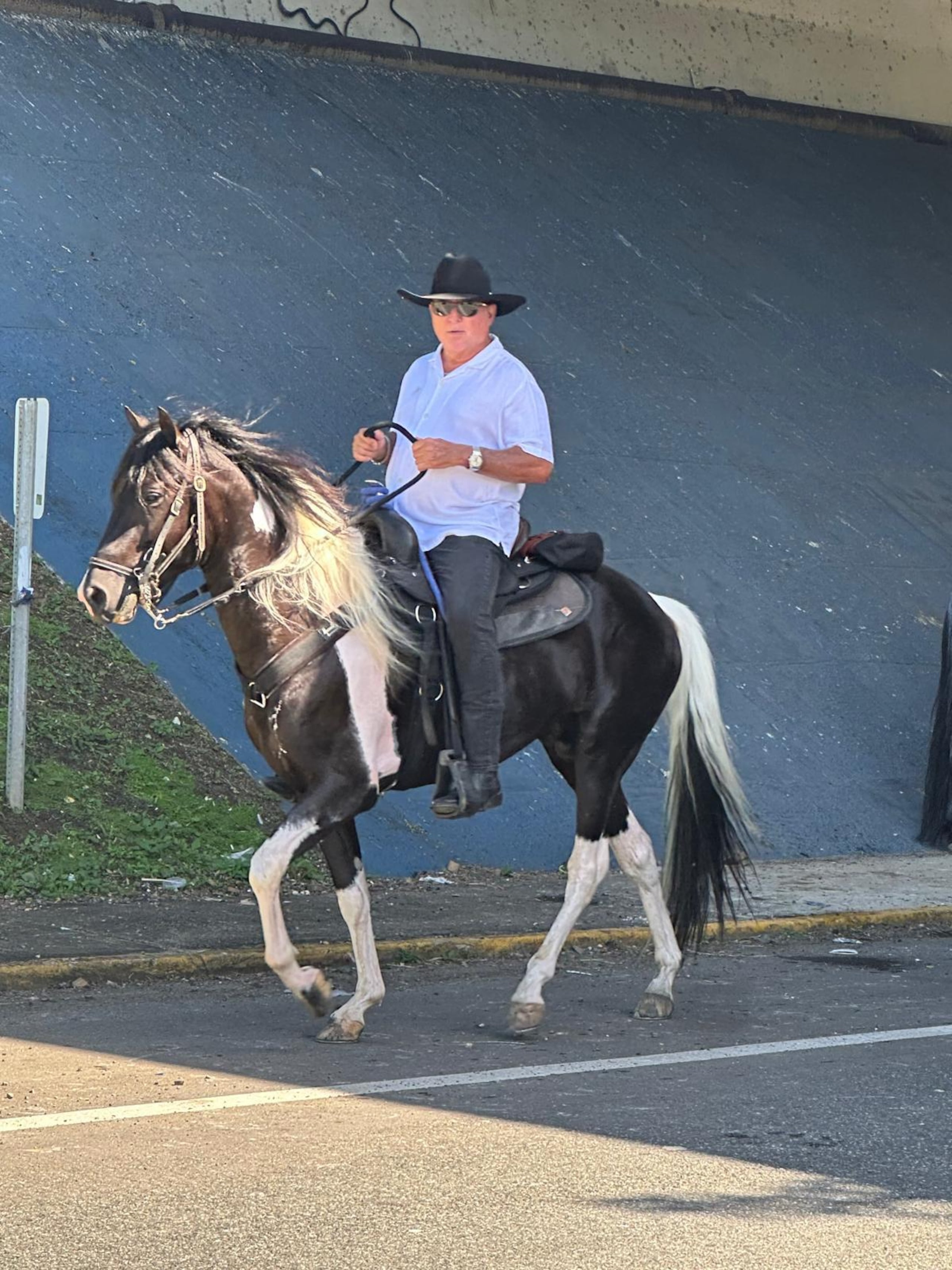 Lo otro que Epique Olazagasti disfruta en el retiro es cuidar y cabalgar caballos. Ha ido incluso a cabalgatas en Argentina y Colombia.