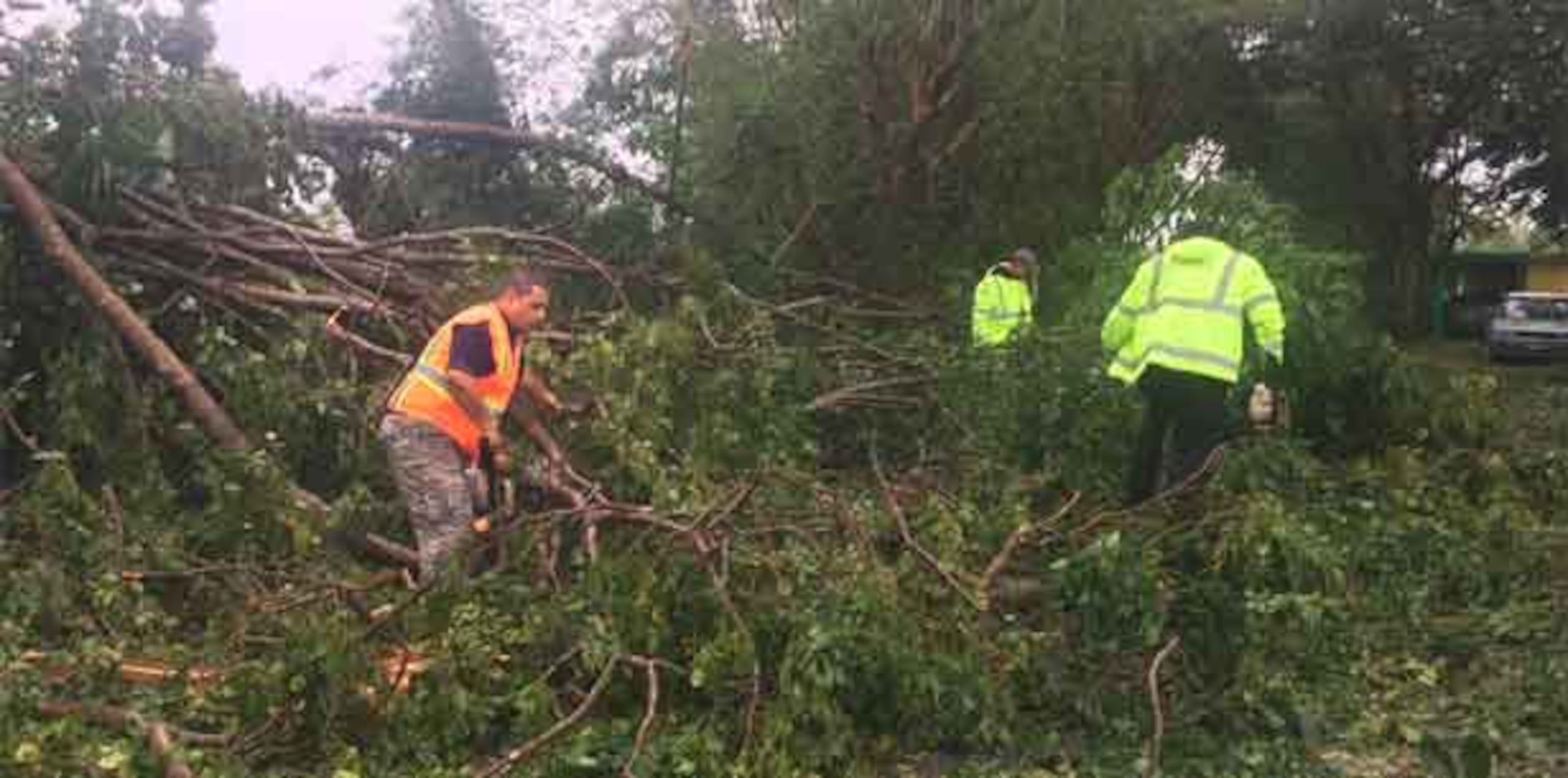 En horas tempranas de la mañana, dos residentes intentaban cortar con machetes un enorme árbol que cayó en la carretera 7780, en el barrio Doña Elena y que mantenía la vía completamente obstaculizada. (brenda.pena@gfrmedia.com)