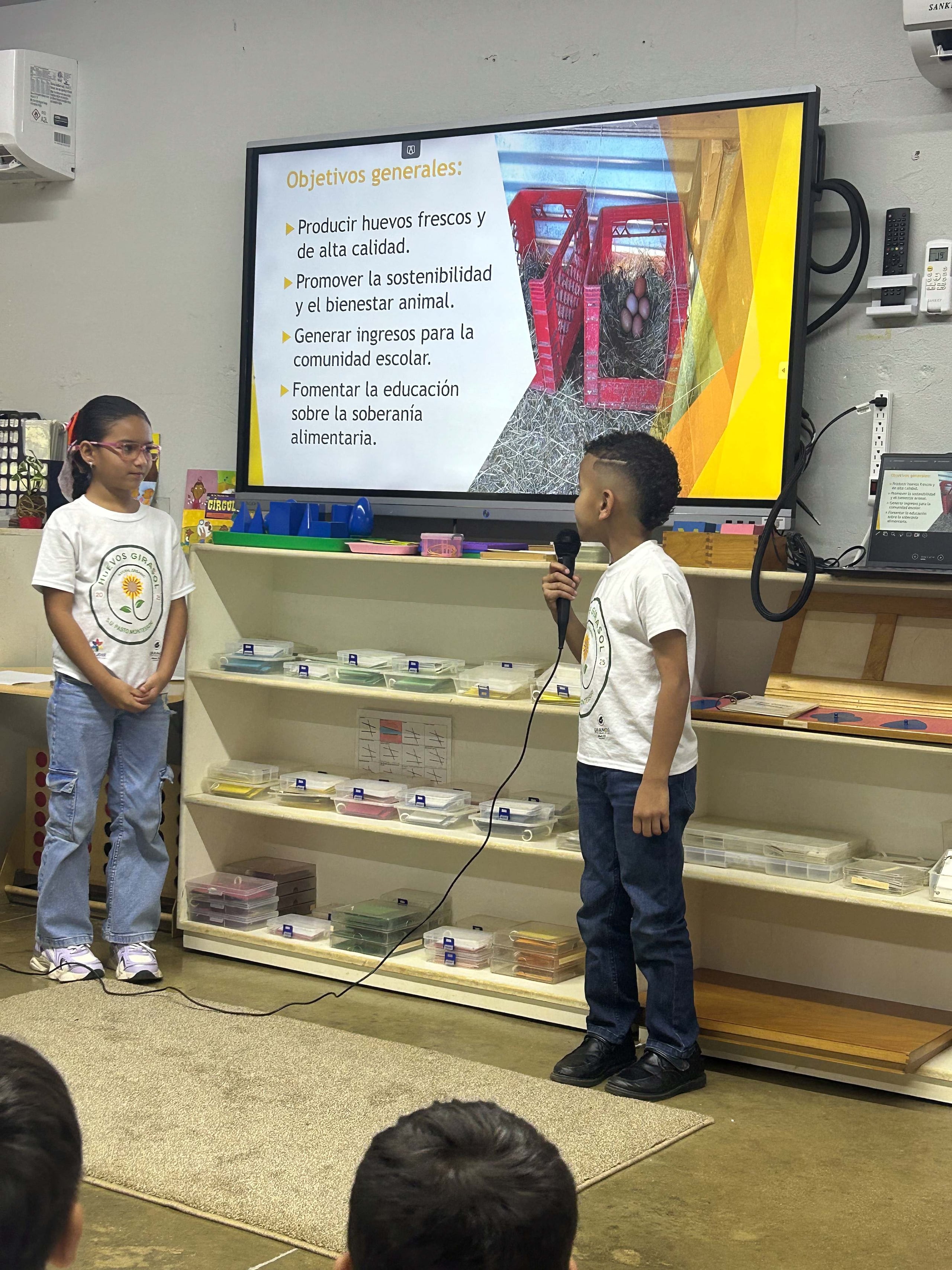 Proyecto Huevos Girasol