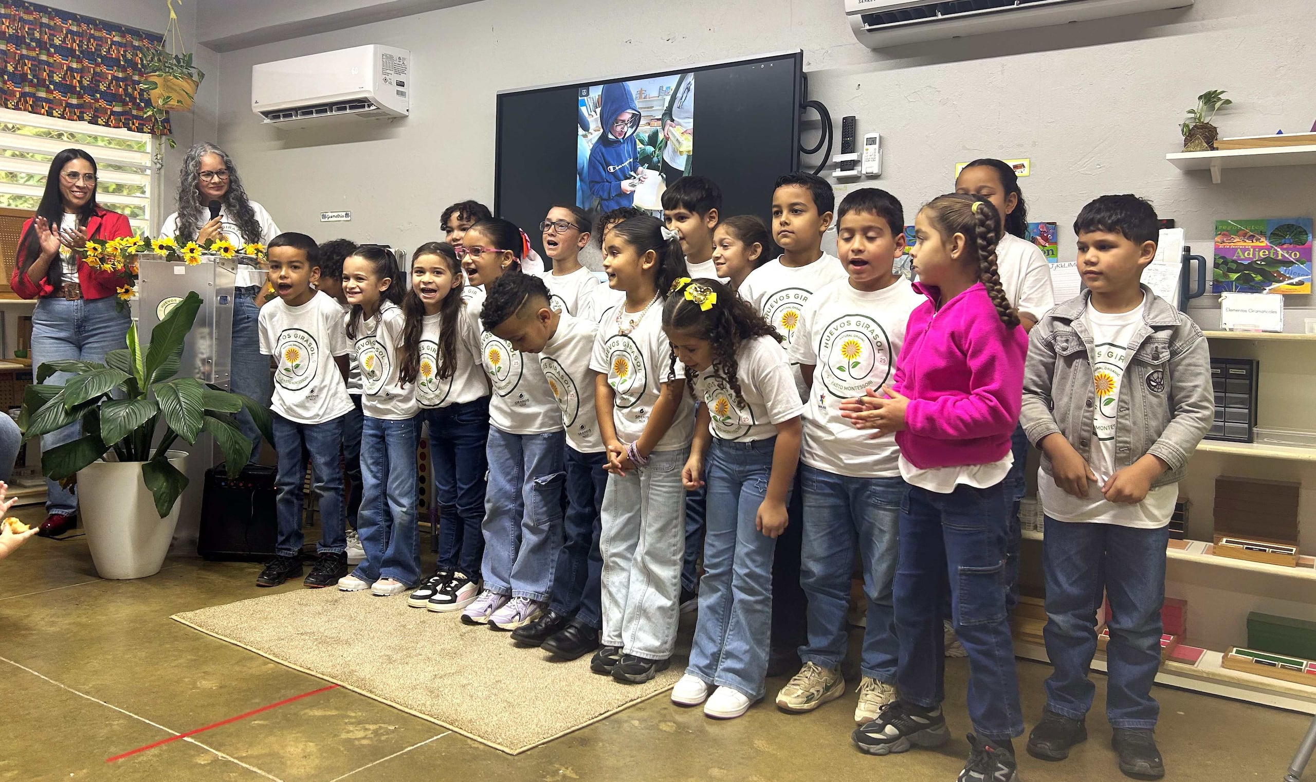 Proyecto Huevos Girasol