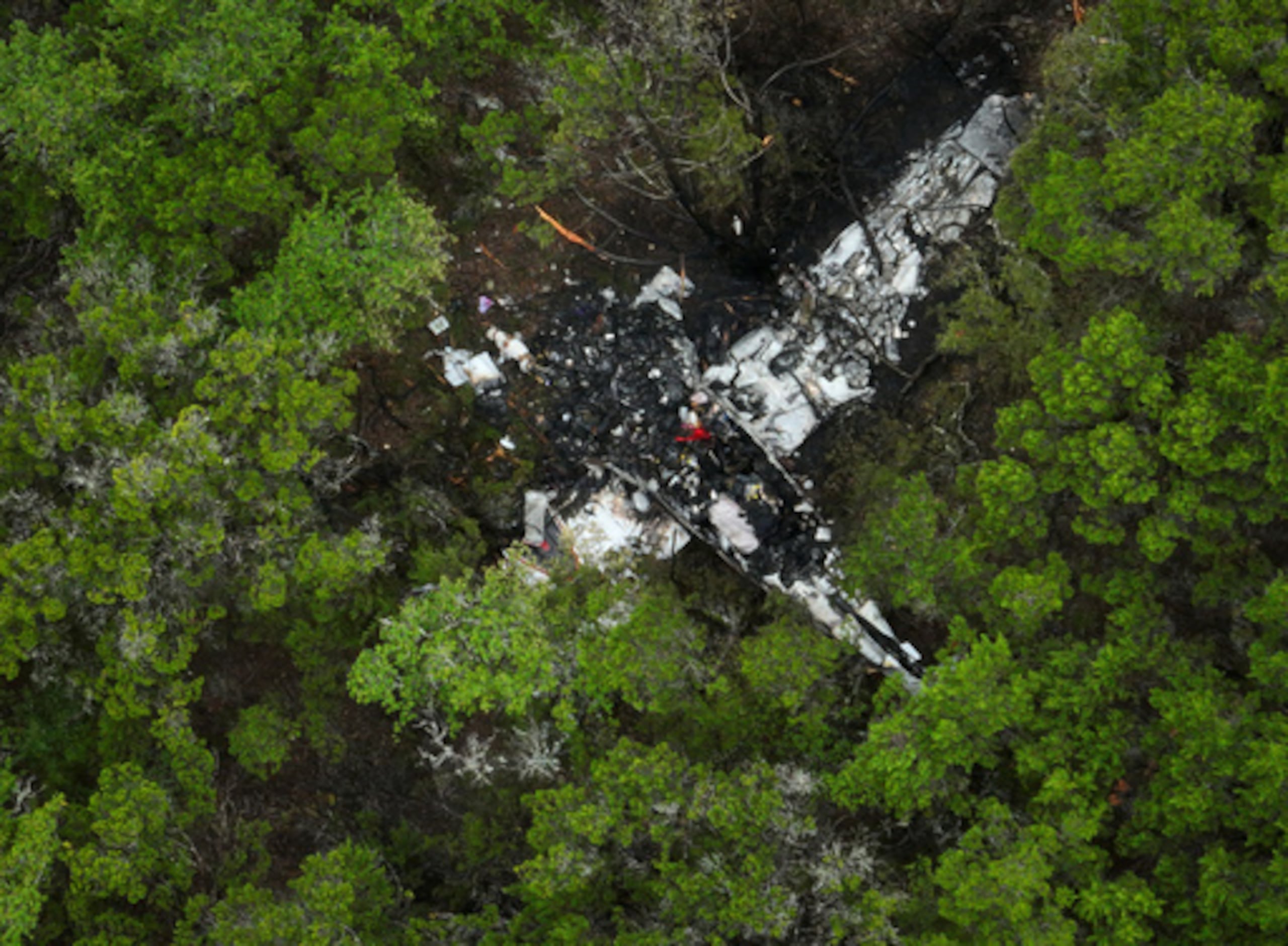 Un avión Cessna estrellado se ve en una zona boscosa en Round Rock Road en Wimberley, Texas, viernes, 1 de mayo de 2026. (Jay Janner/Austin American-Statesman vía AP)
