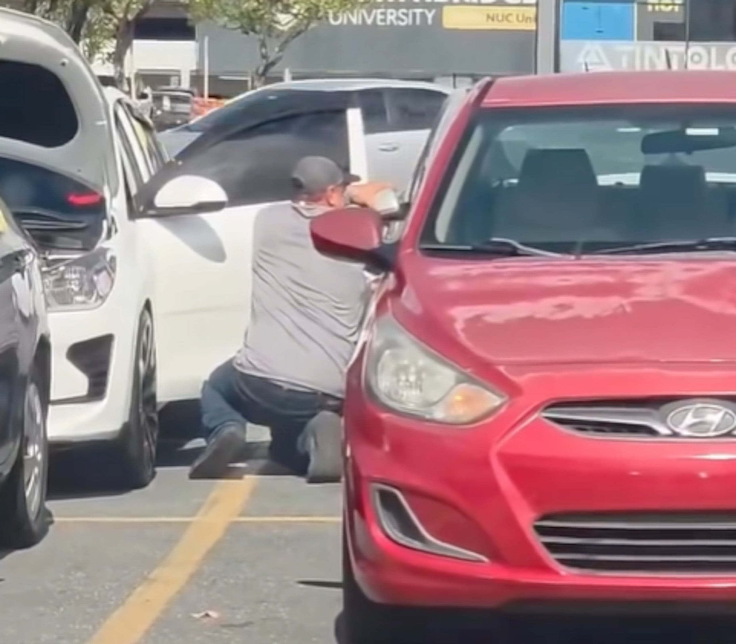 El momento del hurto quedó captado en video y las imágenes fueron difundidas a través de las redes sociales.