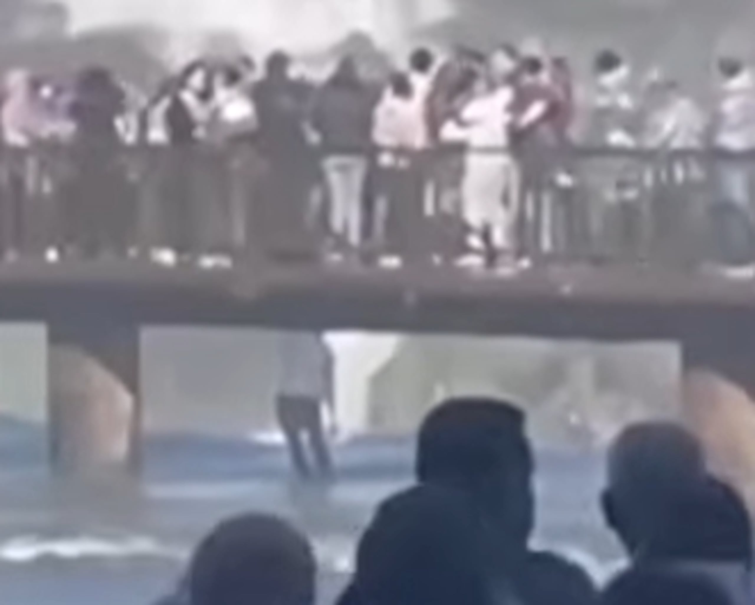 El turista fue expulsado del parque.