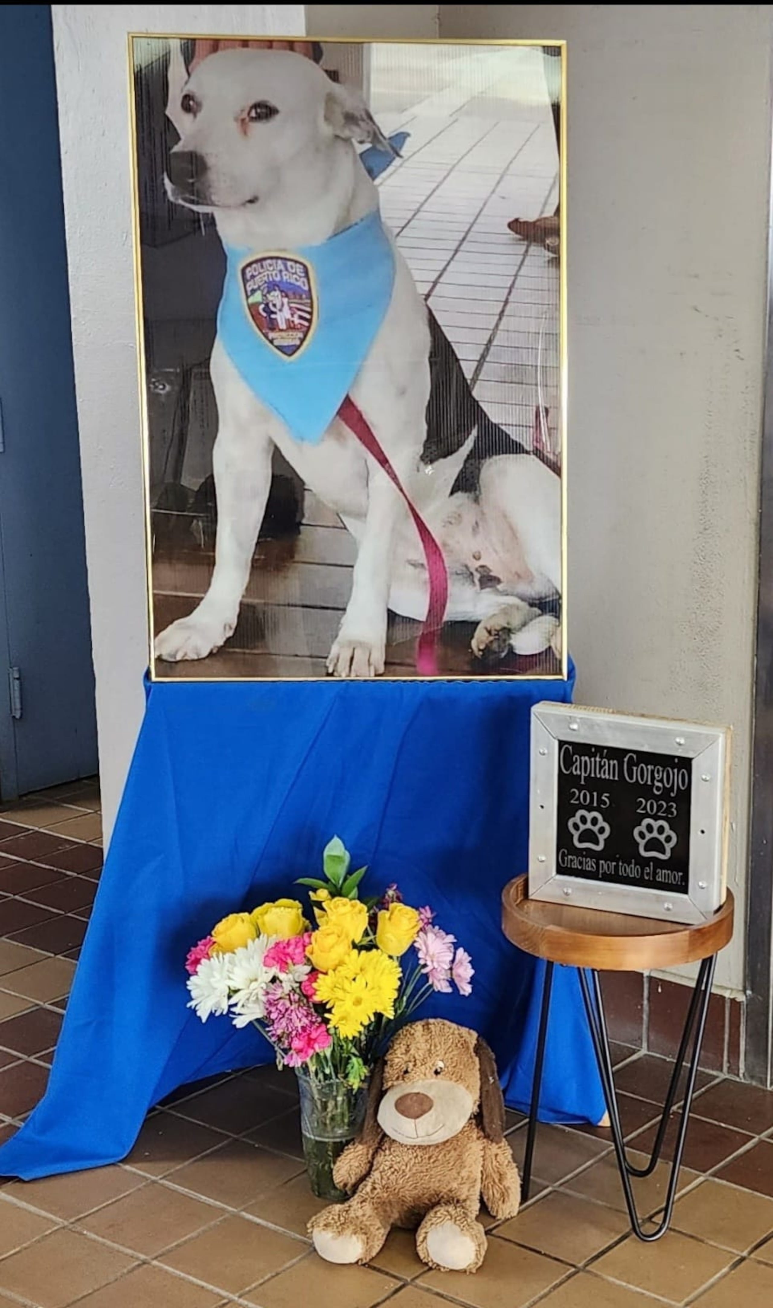 Foto de la fallecida mascota de la comandancia de Bayamón, apodado “Gorgi”, quien por muchos años fue su guardián, brindándole compañía tanto a los agentes como a los visitantes.