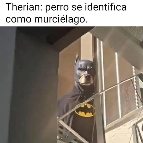 Los mejores memes de la semana
