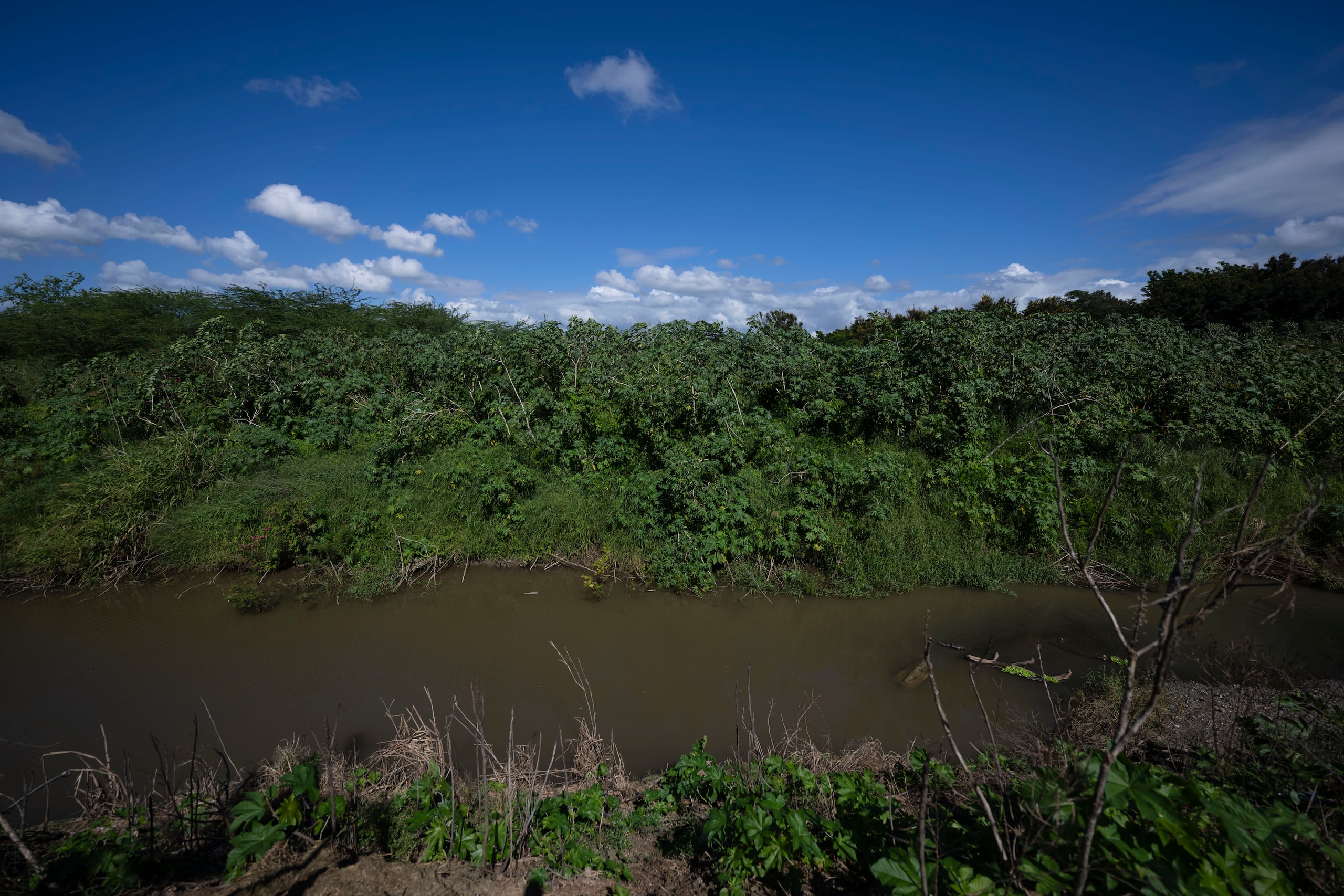 La organización sin fines de lucro Protectores de Cuencas está a cargo del proyecto de restauración de la Laguna de Guánica.
FOTO POR: Carlos Rivera Giusti/GFR Media.