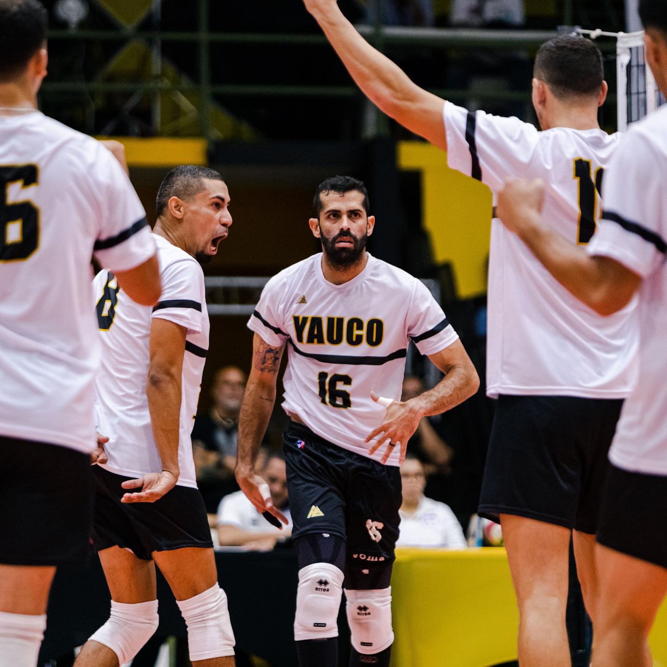 Los Cafeteros de Yauco son liderados por los veteranos Jackson Rivera (16) y Eddie Rivera (8).