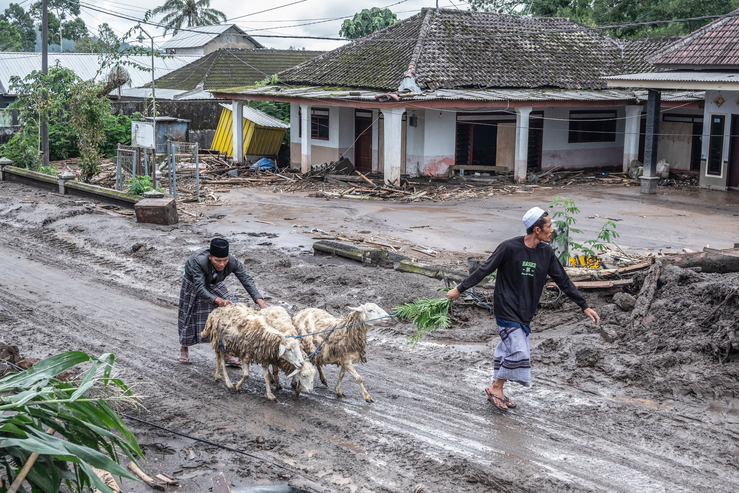 El monte Semeru, en la provincia de Java Oriental, causó nubes abrasadoras de ceniza caliente y una mezcla de rocas, lava y gas que recorrieron hasta 13 kms (ocho millas) por sus laderas sin descanso desde el mediodía hasta el anochecer del miércoles.