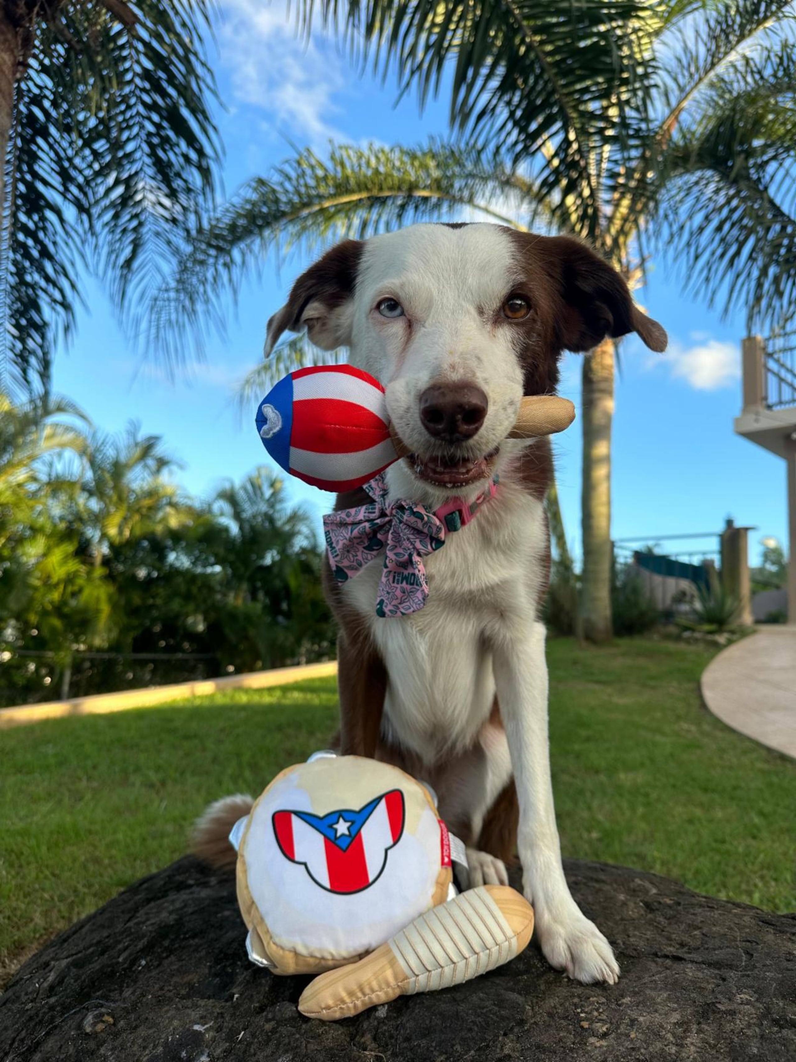 La colección es un homenaje a la herencia cultural de Puerto Rico.