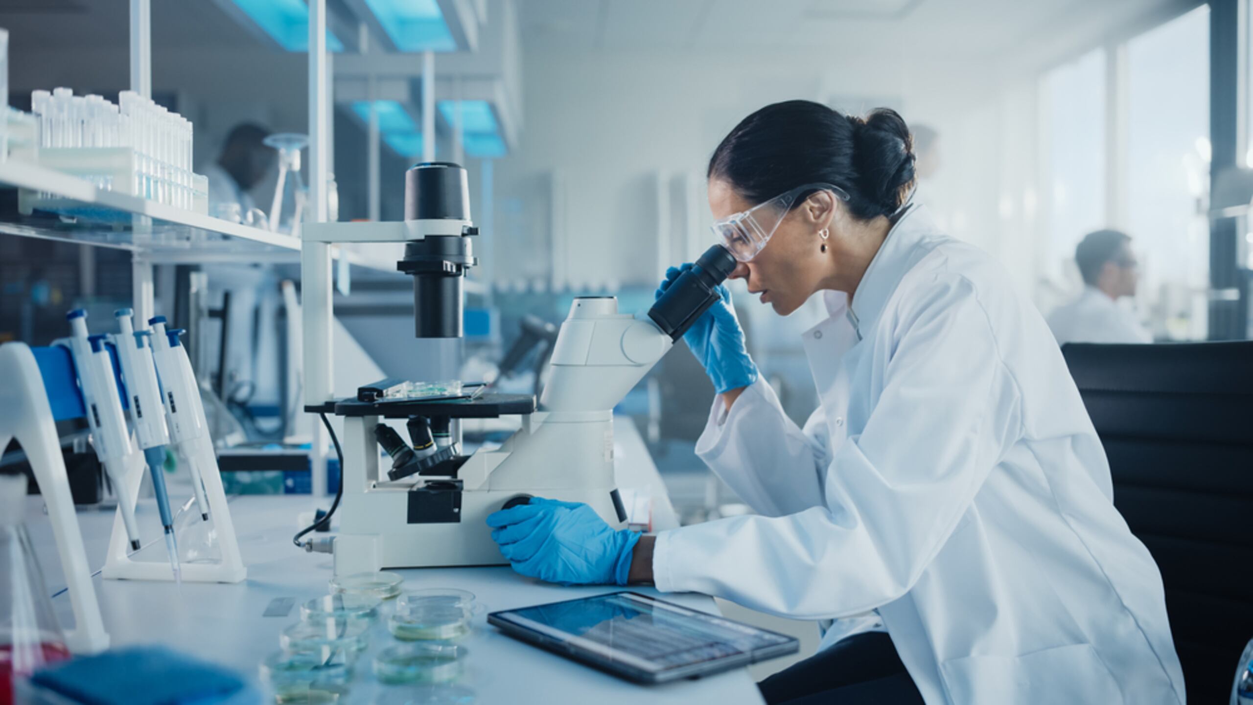 Las investigaciones científicas que se llevan a cabo en las instituciones universitarias forman parte integral del desarrollo de profesores y estudiantes expertos en diversas ramas.