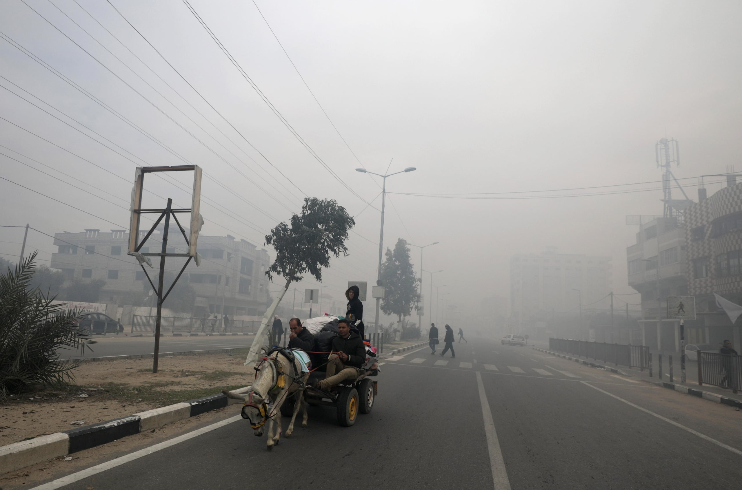Más de 20,000 palestinos han muerto en la guerra de Israel para destruir a Hamás y más de 53,000 han resultado heridos, según funcionarios de salud en Gaza, un territorio asediado gobernado por el grupo armado islamista durante los últimos 16 años.