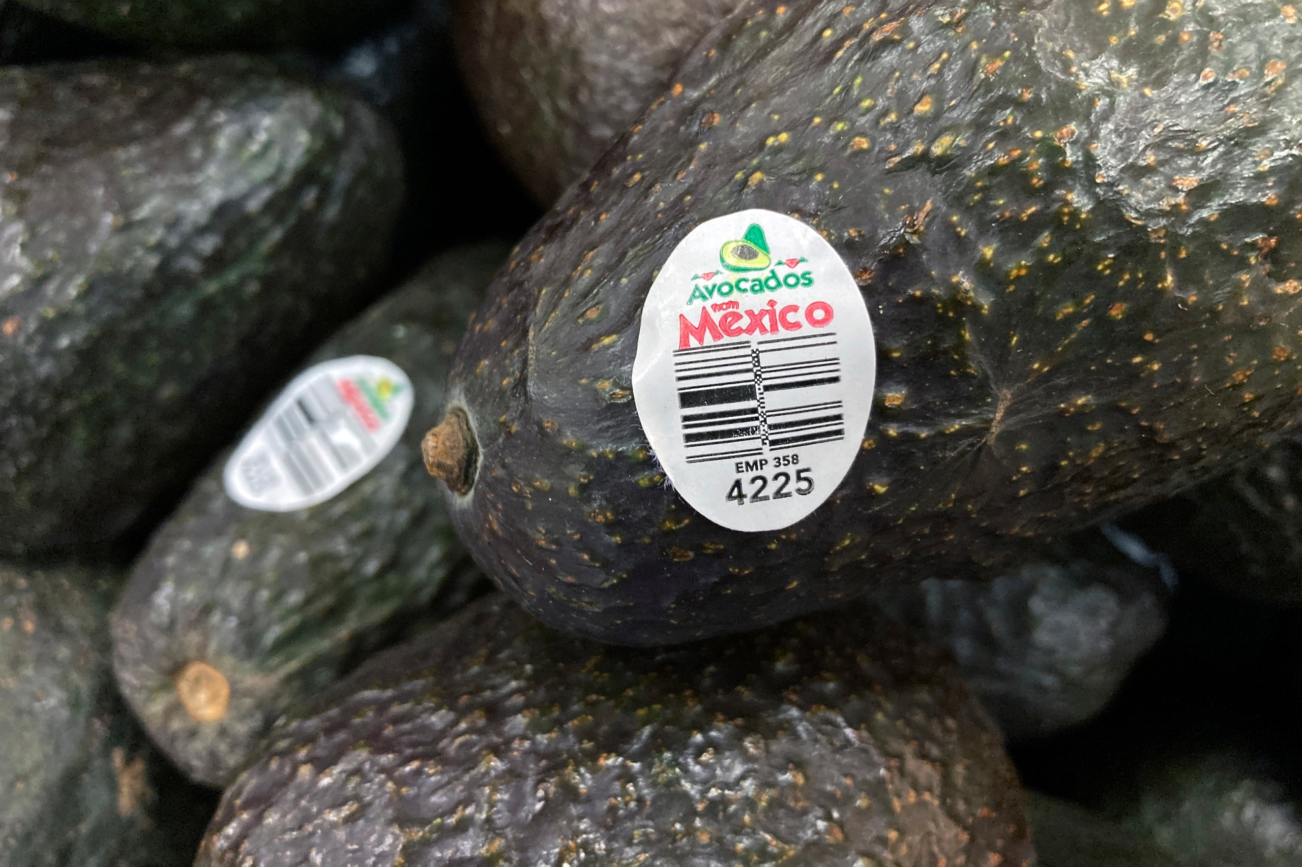 El estado de Michoacán es el mayor exportador de aguacates de México.