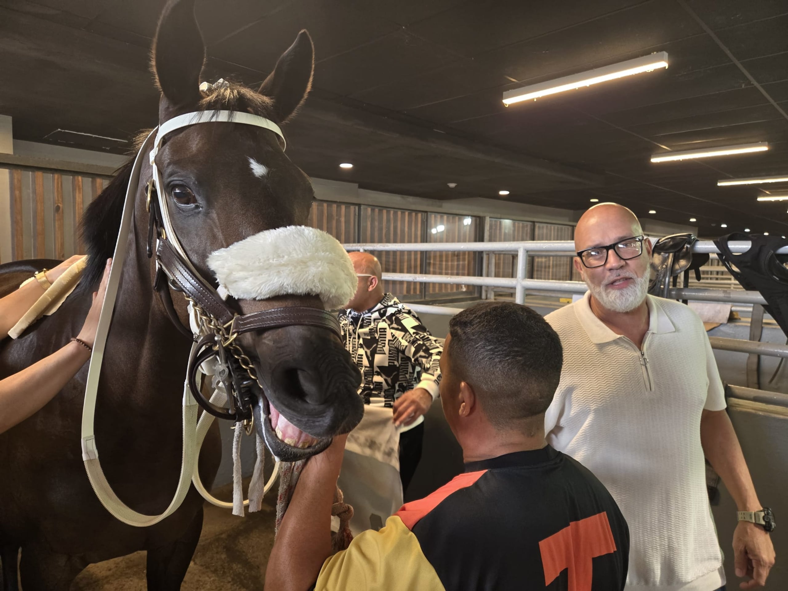 Carlos Tarrats, aquí en su labor de dueño de caballos en el ensilladero de Camarero con su equipo de trabajo, incluido su entrenador Julio Casanovas (atrás) para el programa de Año Nuevo.