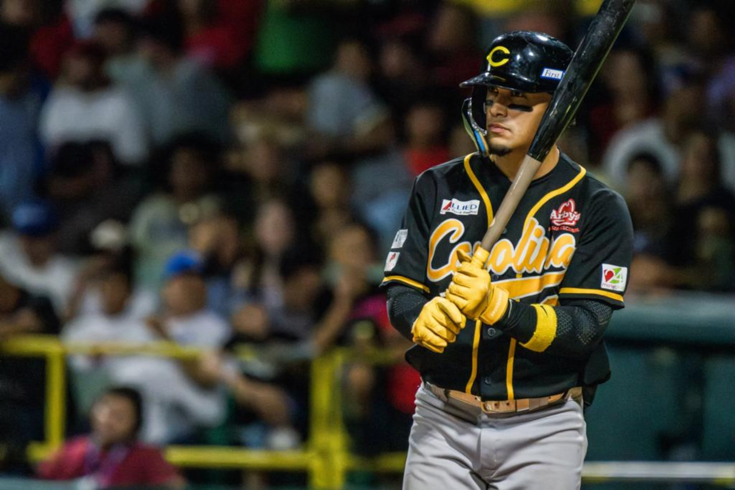 Bryan Torres lideró los bates de Carolina en la temporada 2023-24.