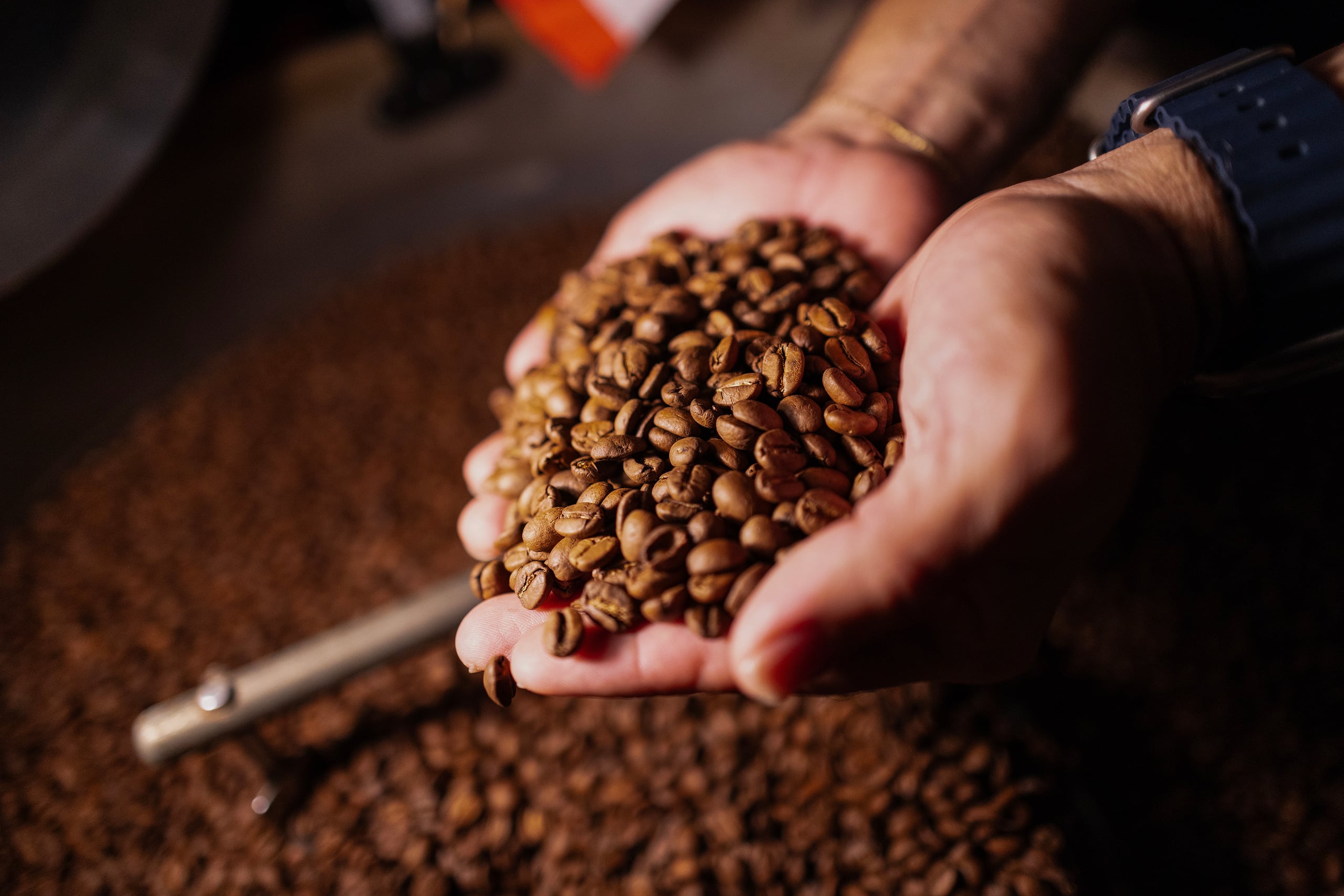 Con la iniciativa, se busca aumentar la producción de café.