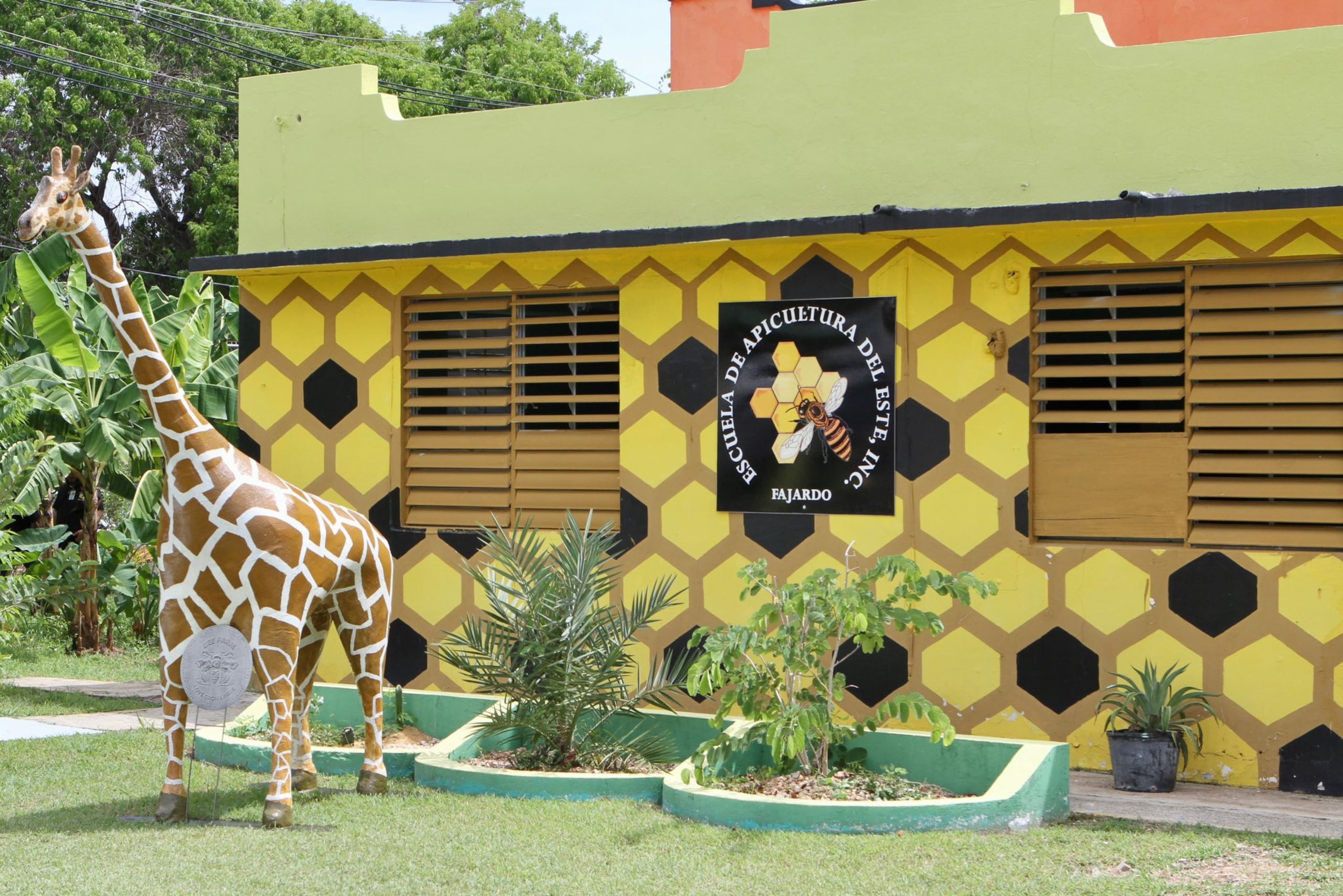 Escuela de Apicultura del Este, en Fajardo.