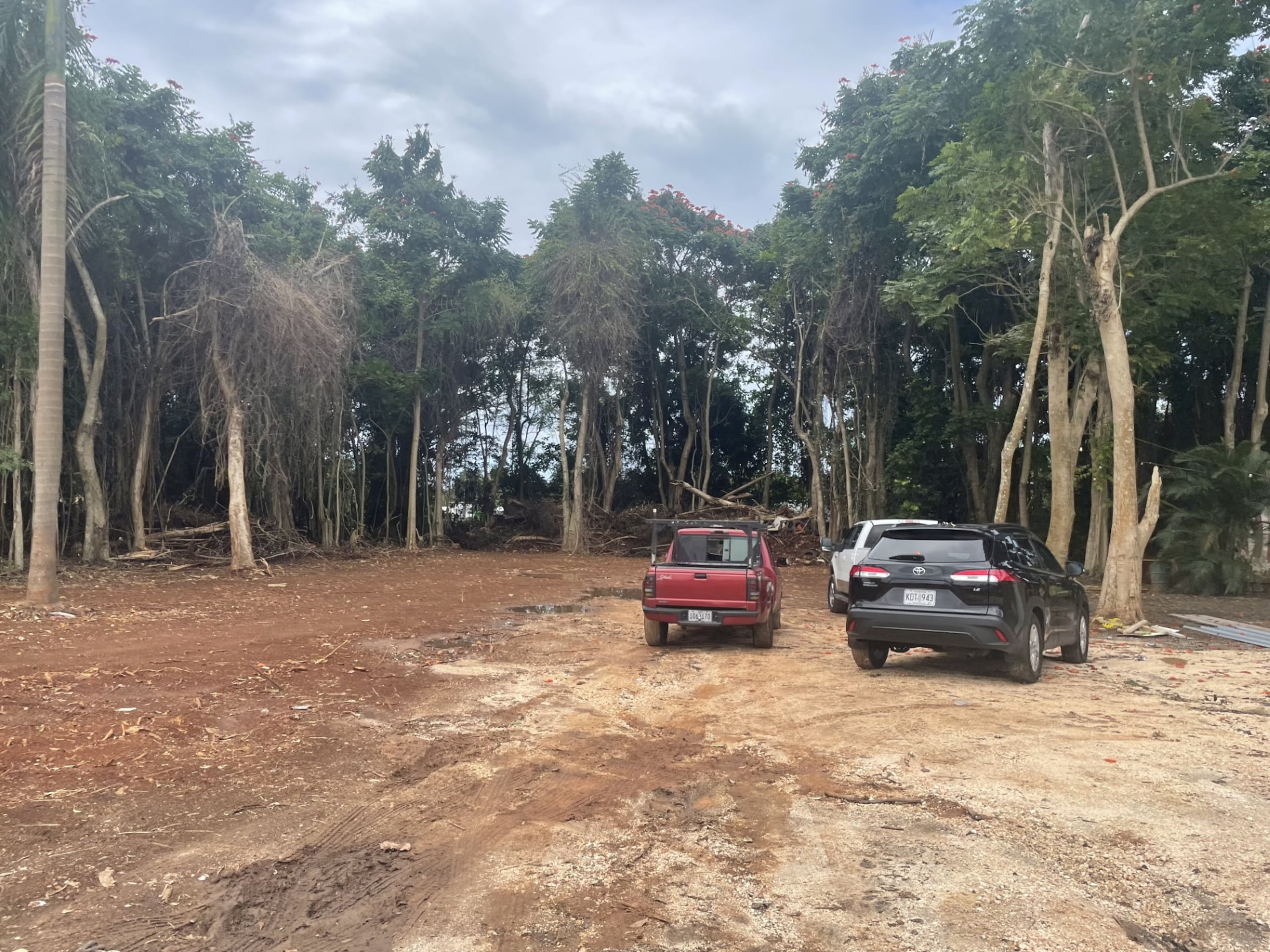Los reclamantes aseguran que han cortado decenas de árboles en el lugar además de la “construcción desordenada” de estructuras en el lugar.