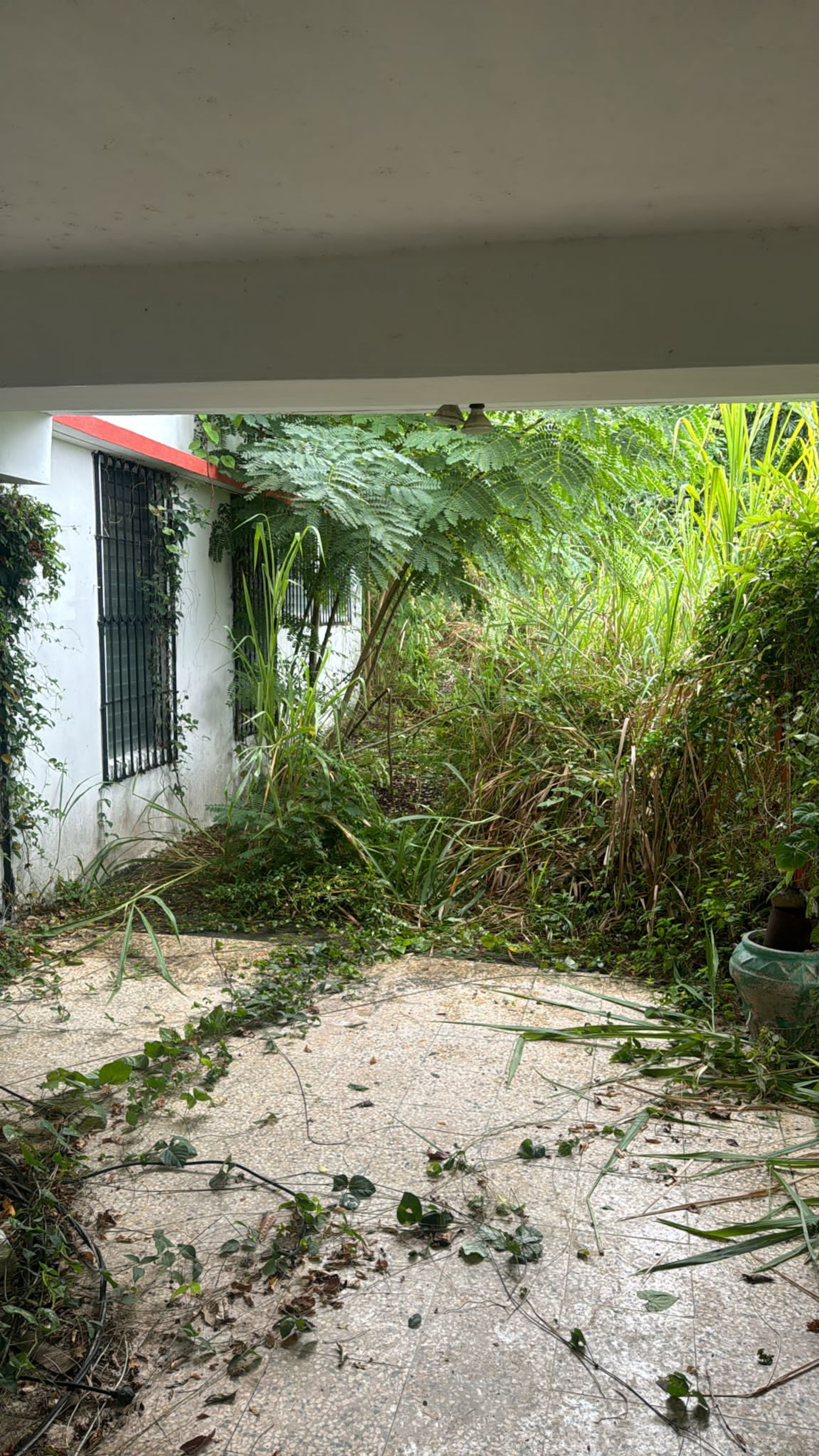 Casa abandonada donde se privó de la vida Víctor Manuel Ramos Rivera sospechoso del doble asesinato de su expareja y el novio, en Gurabo.