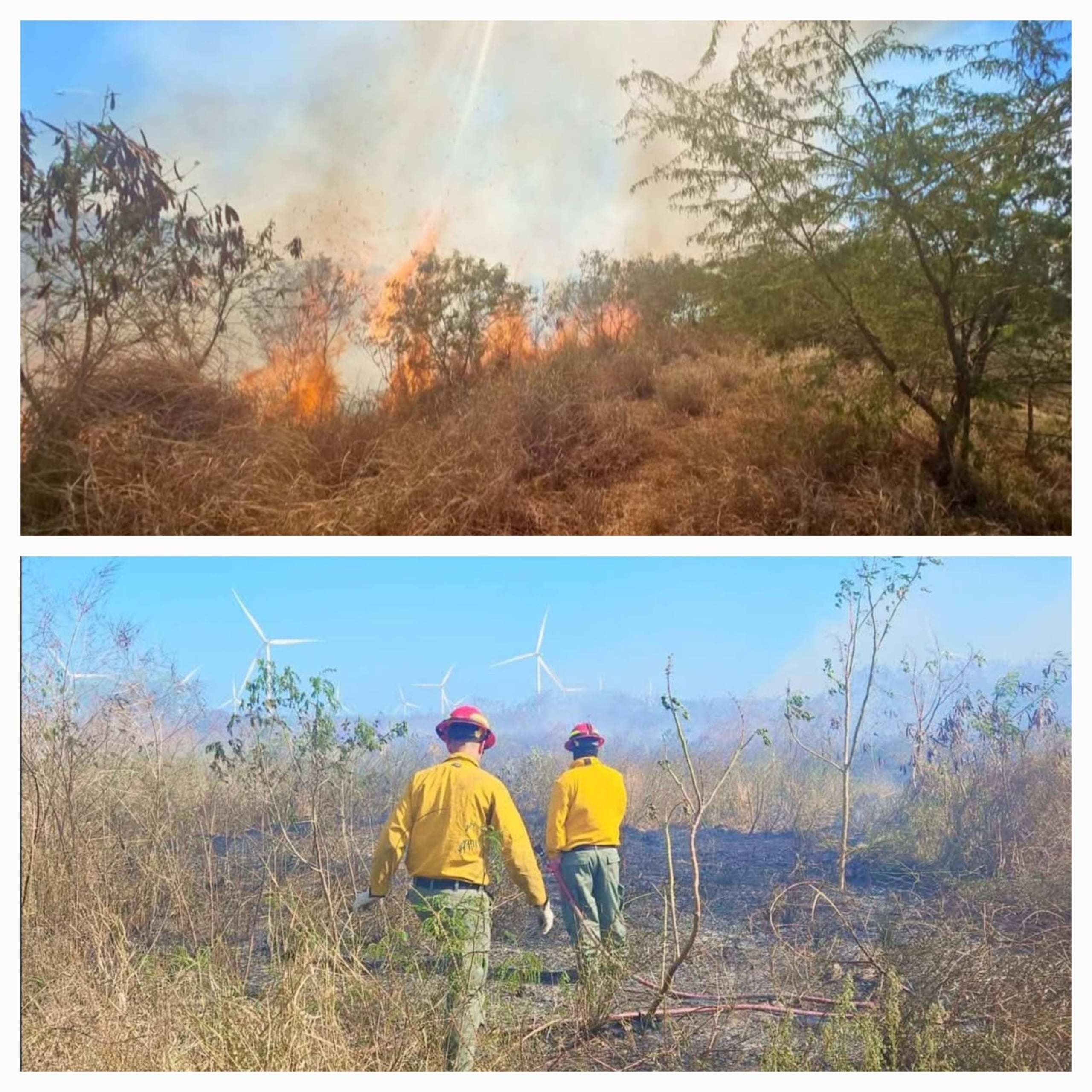 Bomberos atienden fuego reportado en un terreno del barrio Paso Seco, en la carretera PR-153 en Santa Isabel.