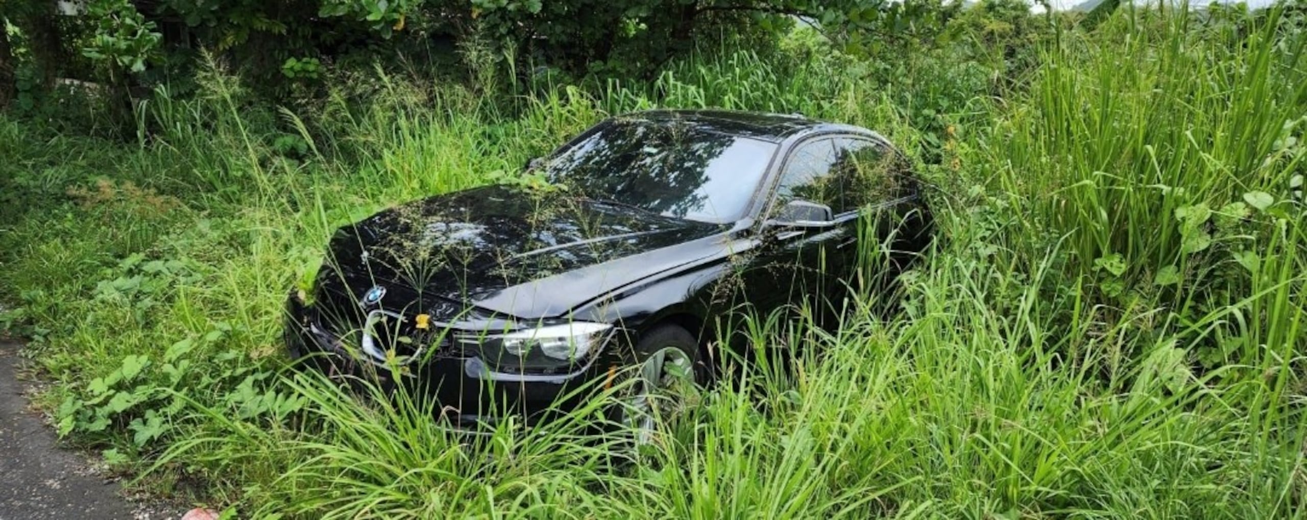 Vehículo marca BMW, con gravamen de desaparecido que fue recuperado en un pastizal en Ciales.