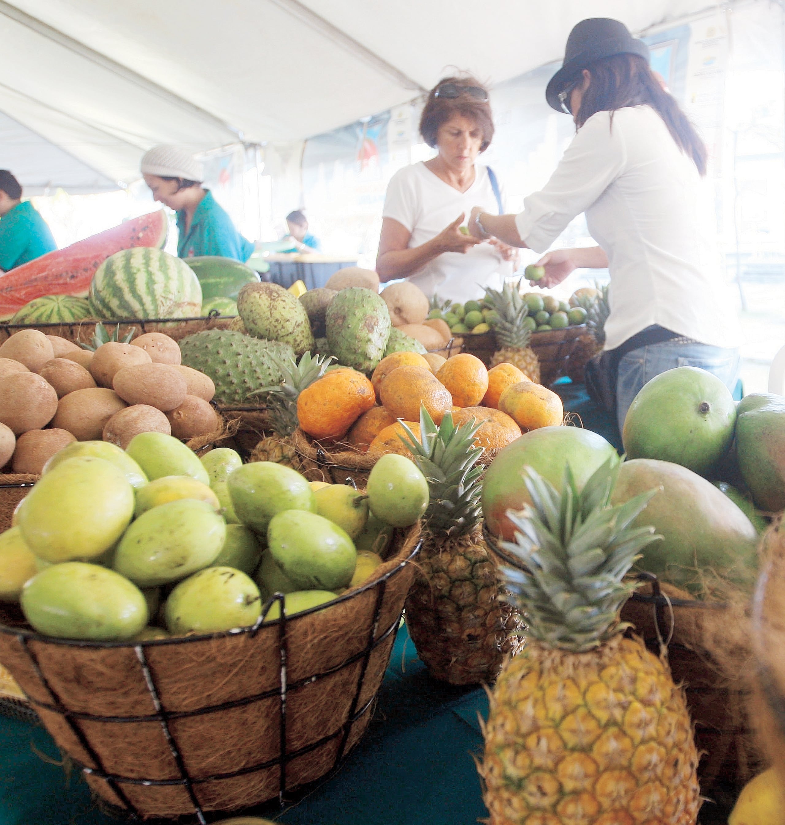 Regresa el Mercado Urbano a Ventana al Mar.