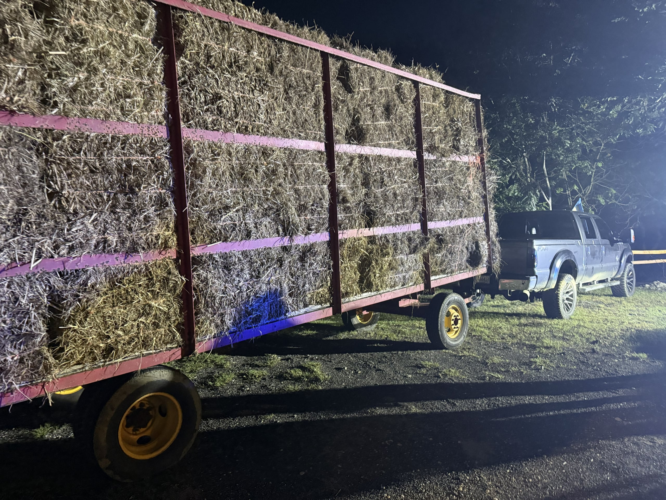 Agentes de la Policía intervinieron con un vehículo que transportaba pacas de heno presuntamente hurtadas en Barceloneta.