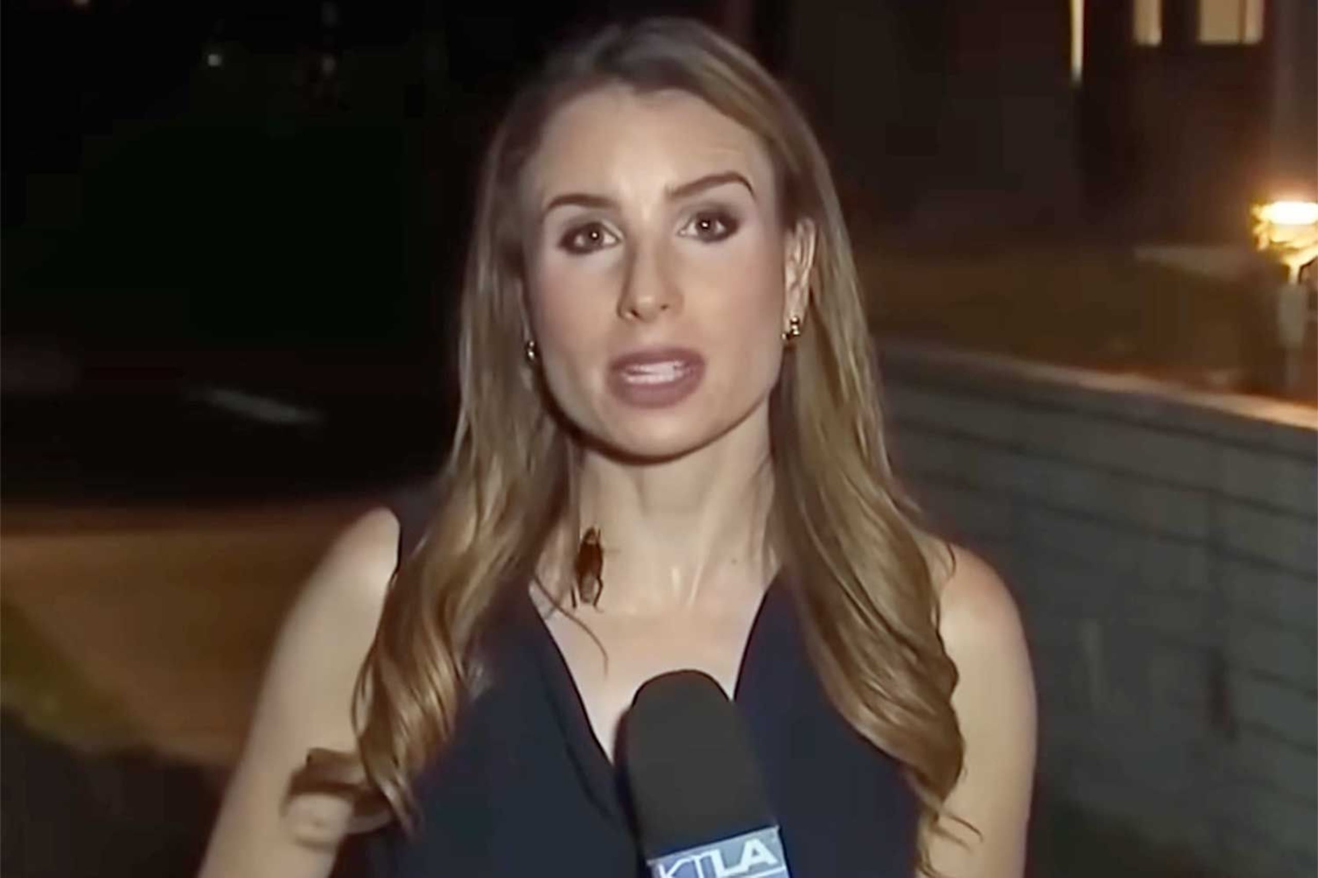 Rachel Menitoff confesó que sí sabía que la cucaracha estaba sobre ella, pero tomó la decisión de ignorarla hasta terminar el informe.