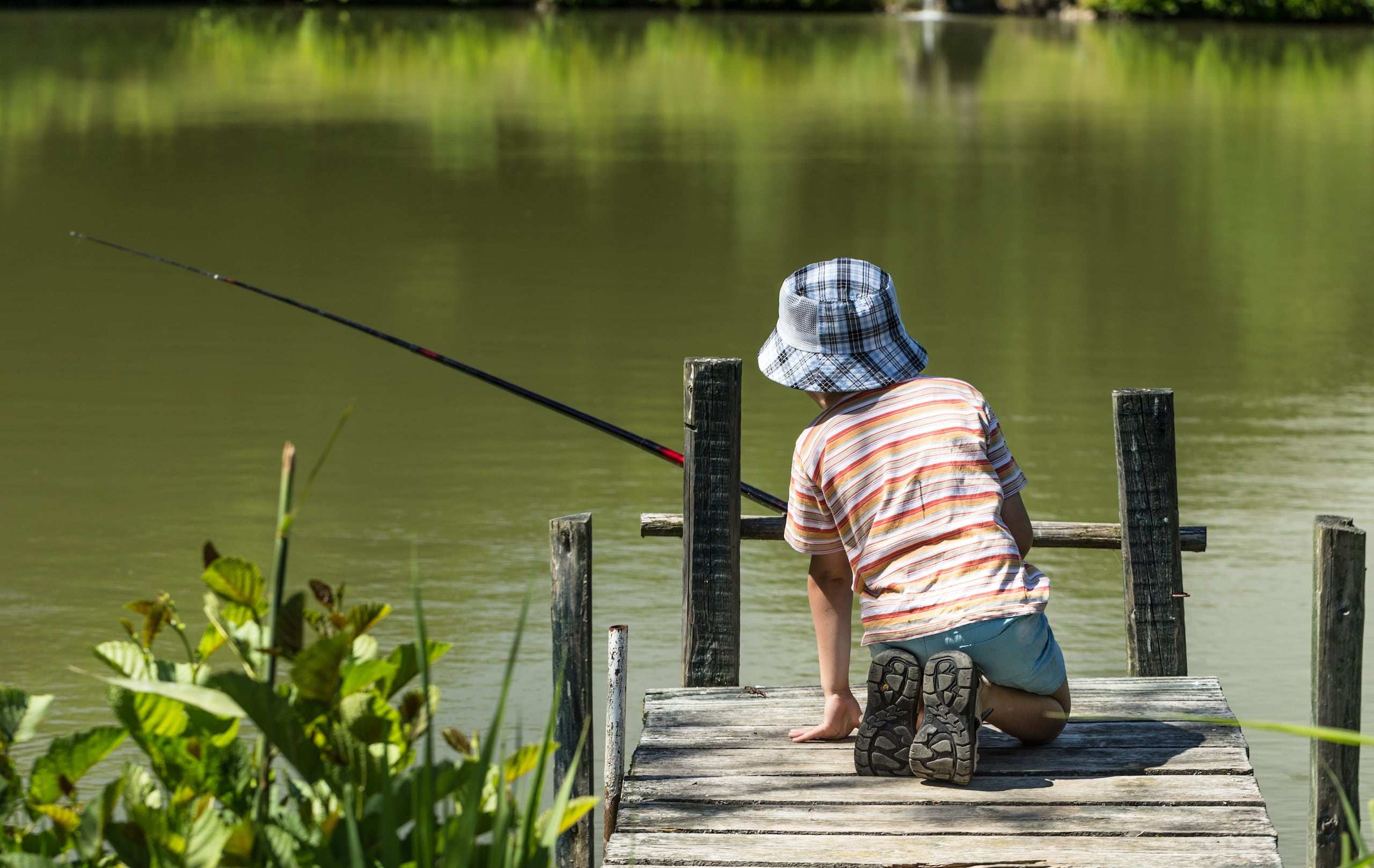 El sábado es el 4to Torneo de Pesca Infantil del proyecto de pesca recreativa del embalse La Plata, en Toa Alta.