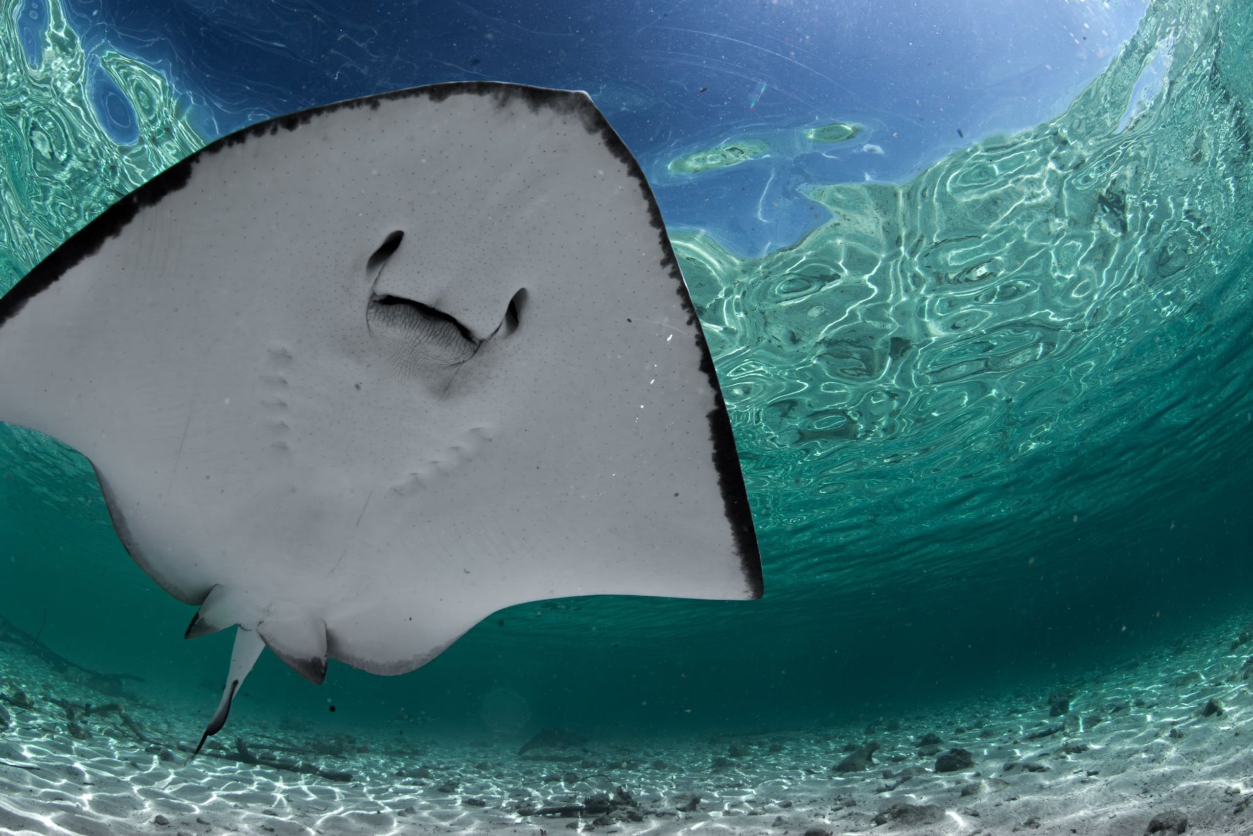 Foto por: Oscar Cacho