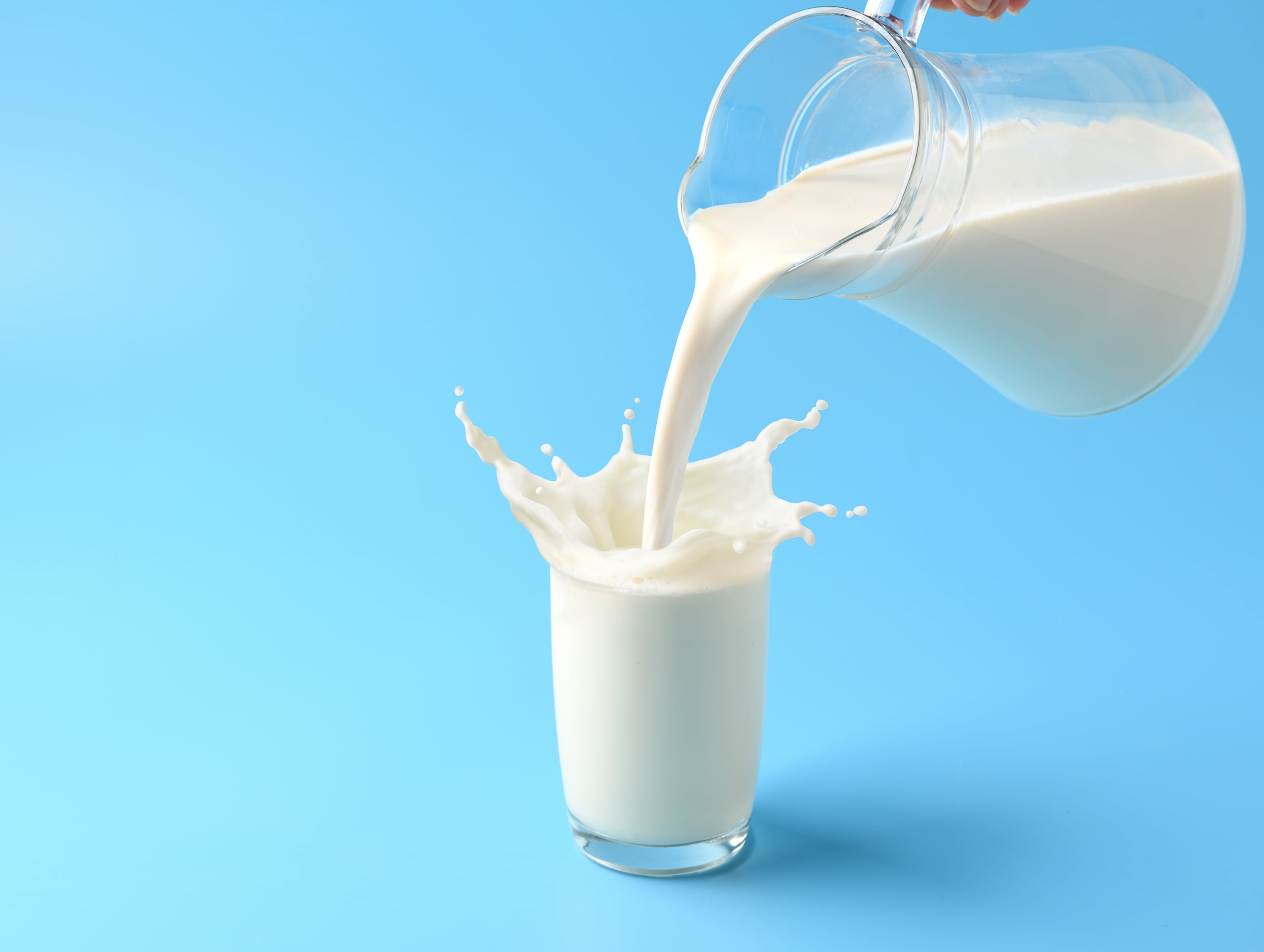 A diferencia de lo que sucede con el crecimiento infantil, donde su papel está más establecido, la necesidad de consumir leche en las etapas posteriores ha sido objeto de discusión.