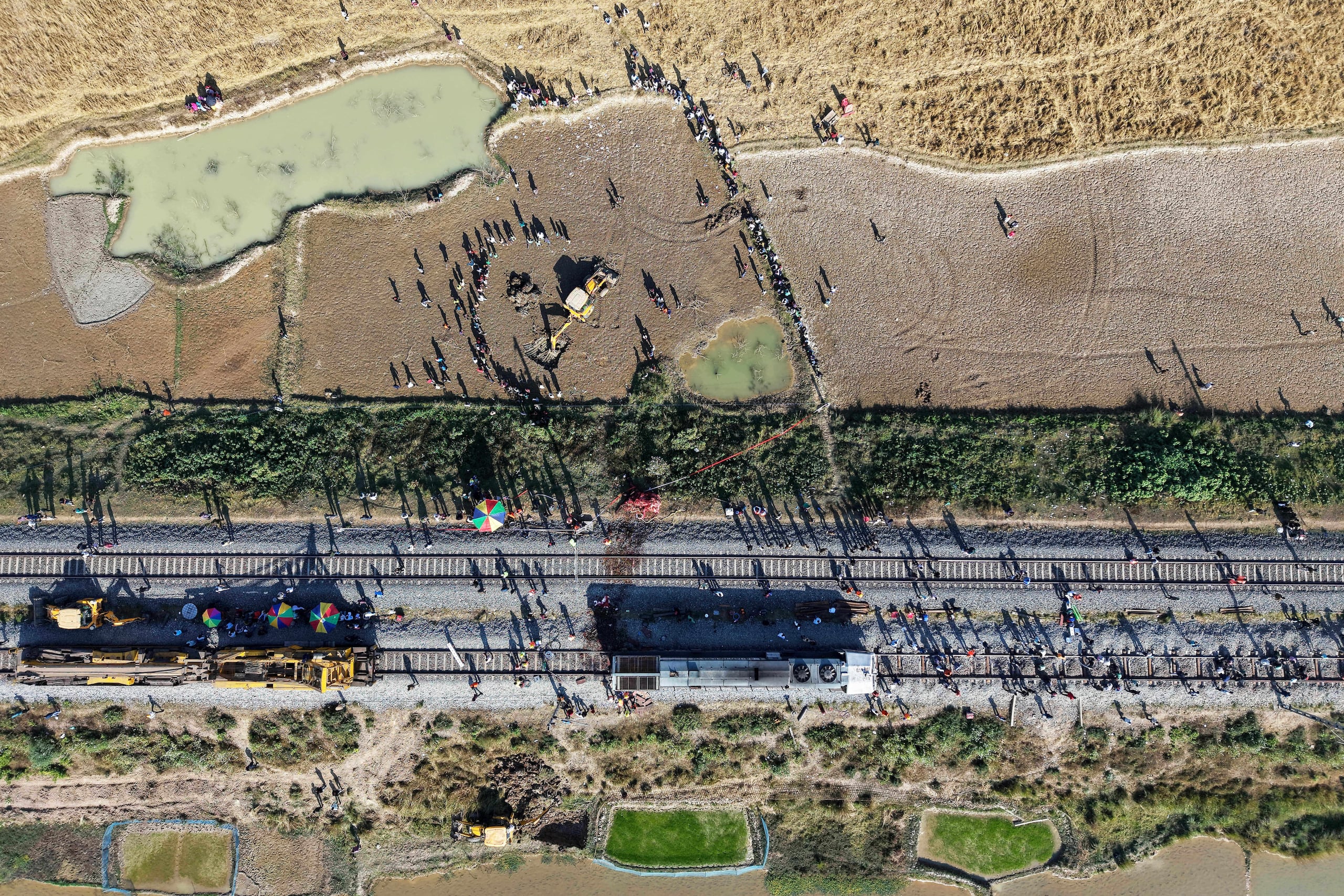 El conductor del tren avistó la manada de unos 100 elefantes y utilizó los frenos de emergencia, pero el tren aún así impactó a algunos de los animales.