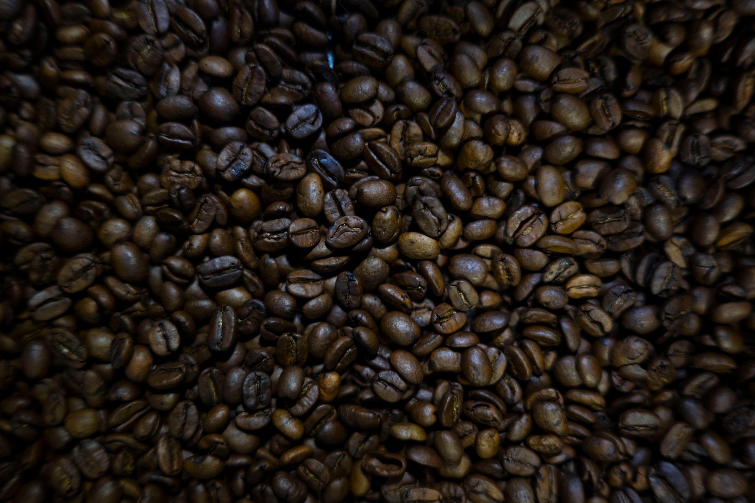 El evento, considerado el más importante del sector en América del Norte, contó con la participación de sobre 600 expositores.