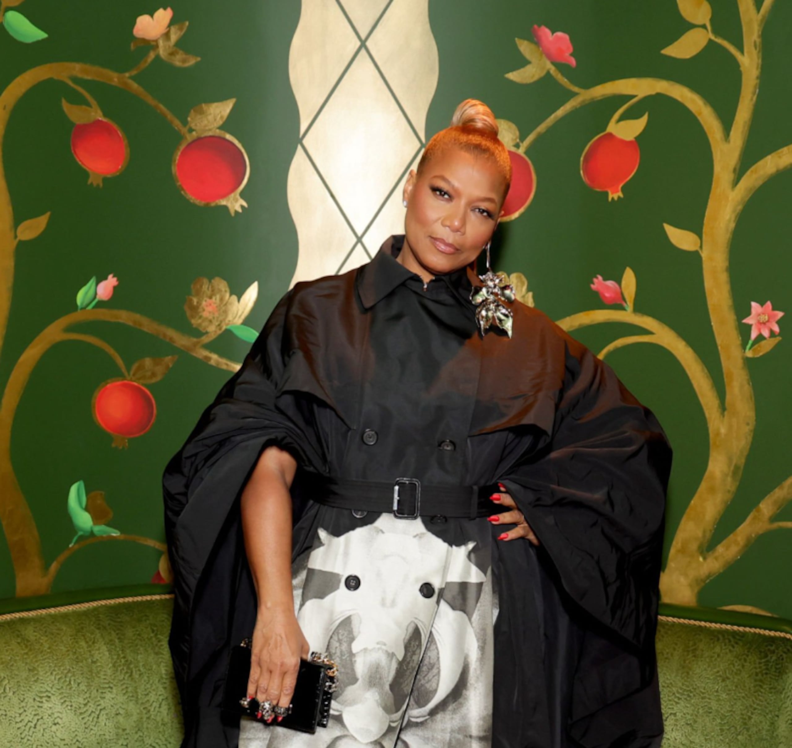 Queen Latifah será honrada con el Premio Maestro Cares Courage to Care.