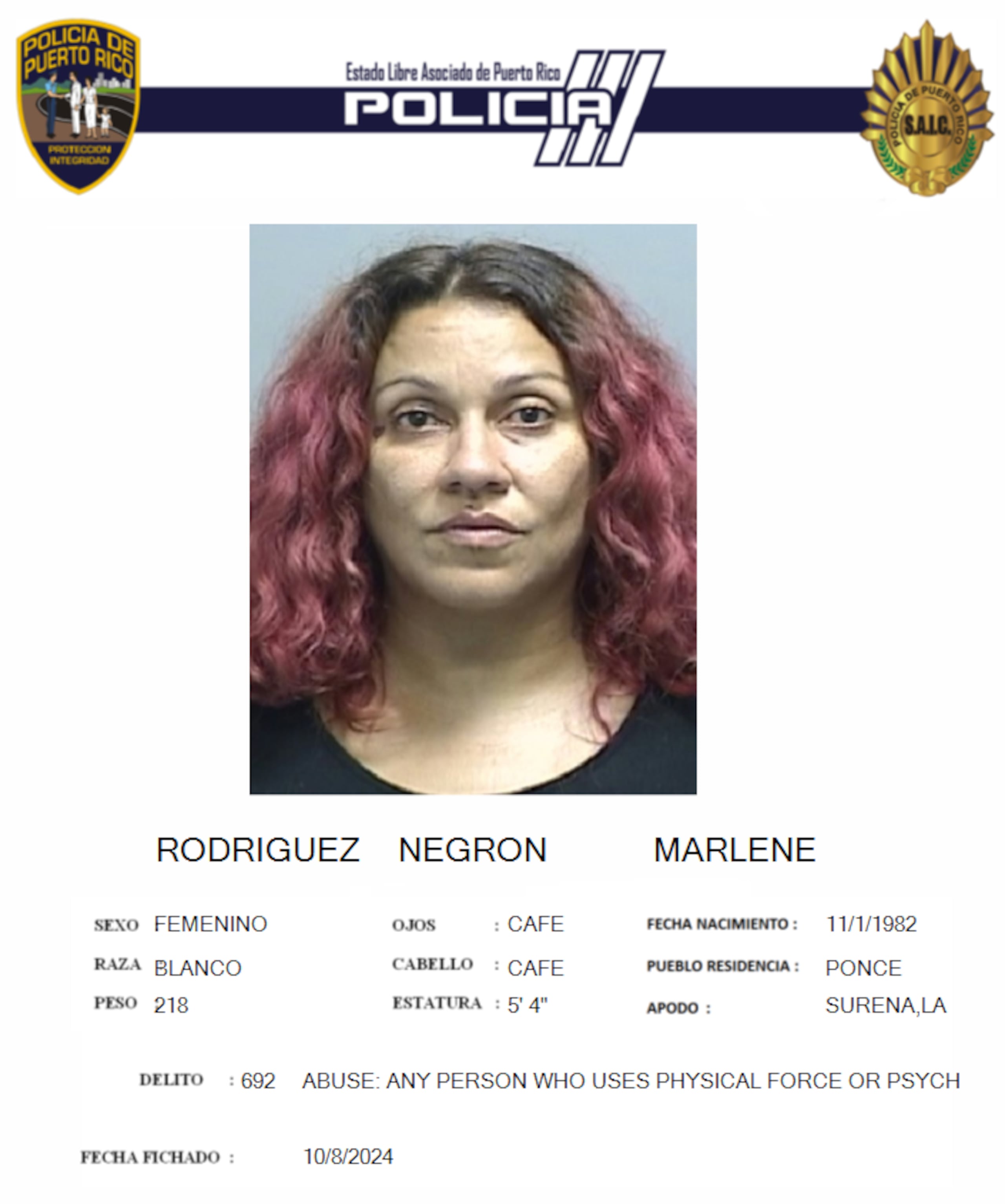 Marlene Rodríguez Negrón enfrenta cargos por violencia doméstica y violación a la Ley de Armas.