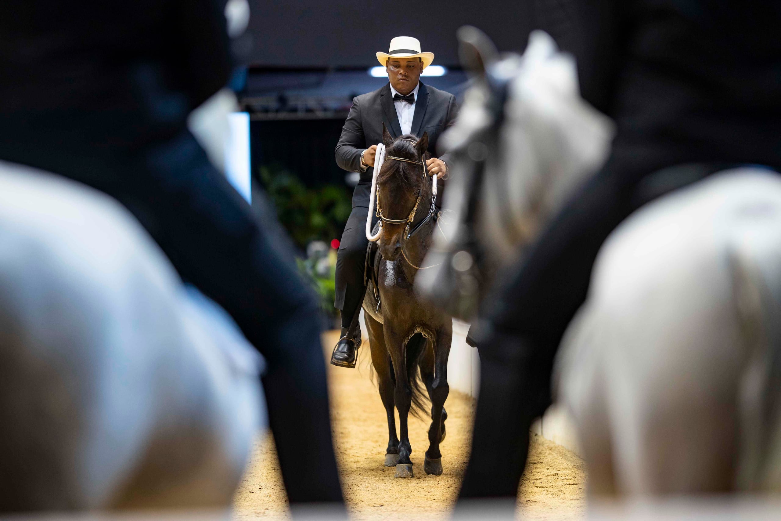 Segundo día del Mundial de Paso Fino en el Coliseo Roberto Clemente.