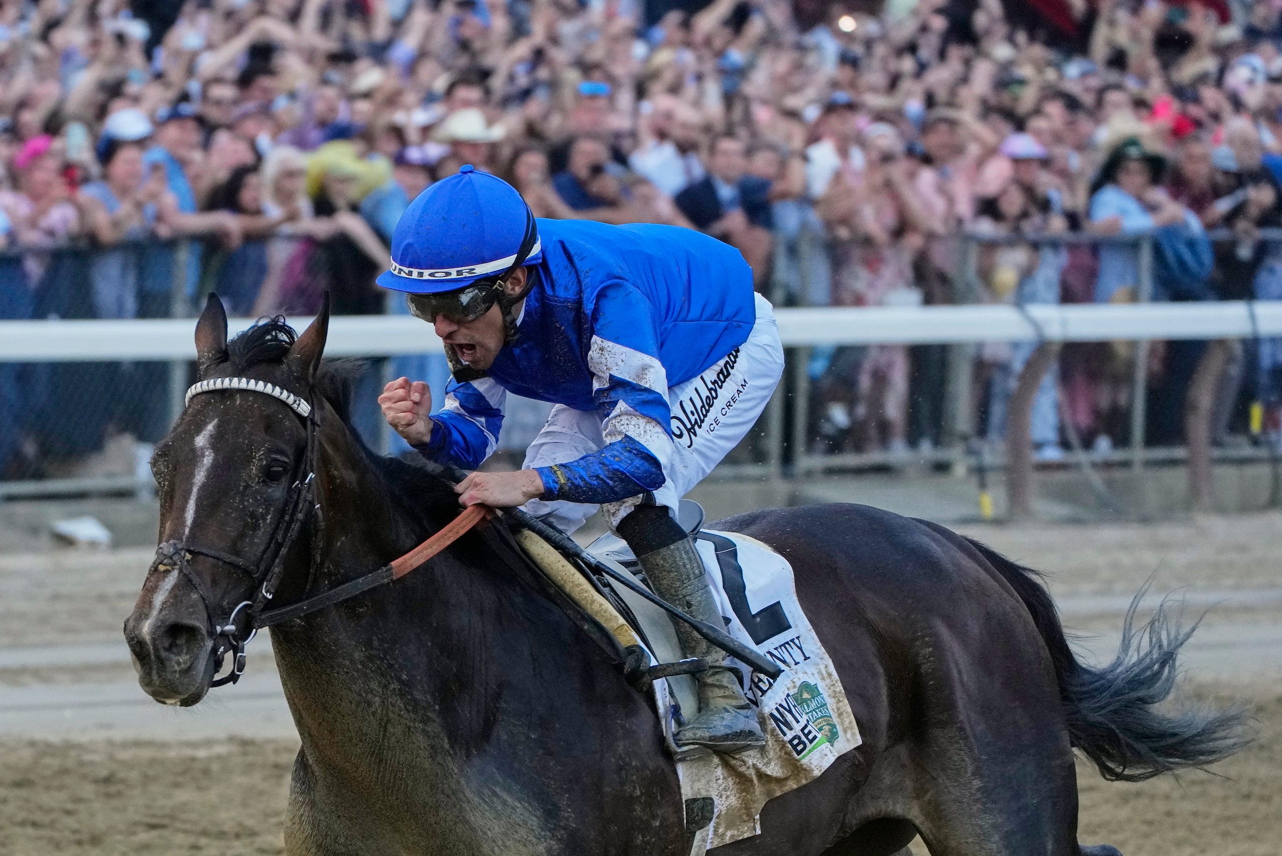 El jockey venezolano Junior Alvarado festeja tras conquistar con Sovereignty Belmont Stakes.