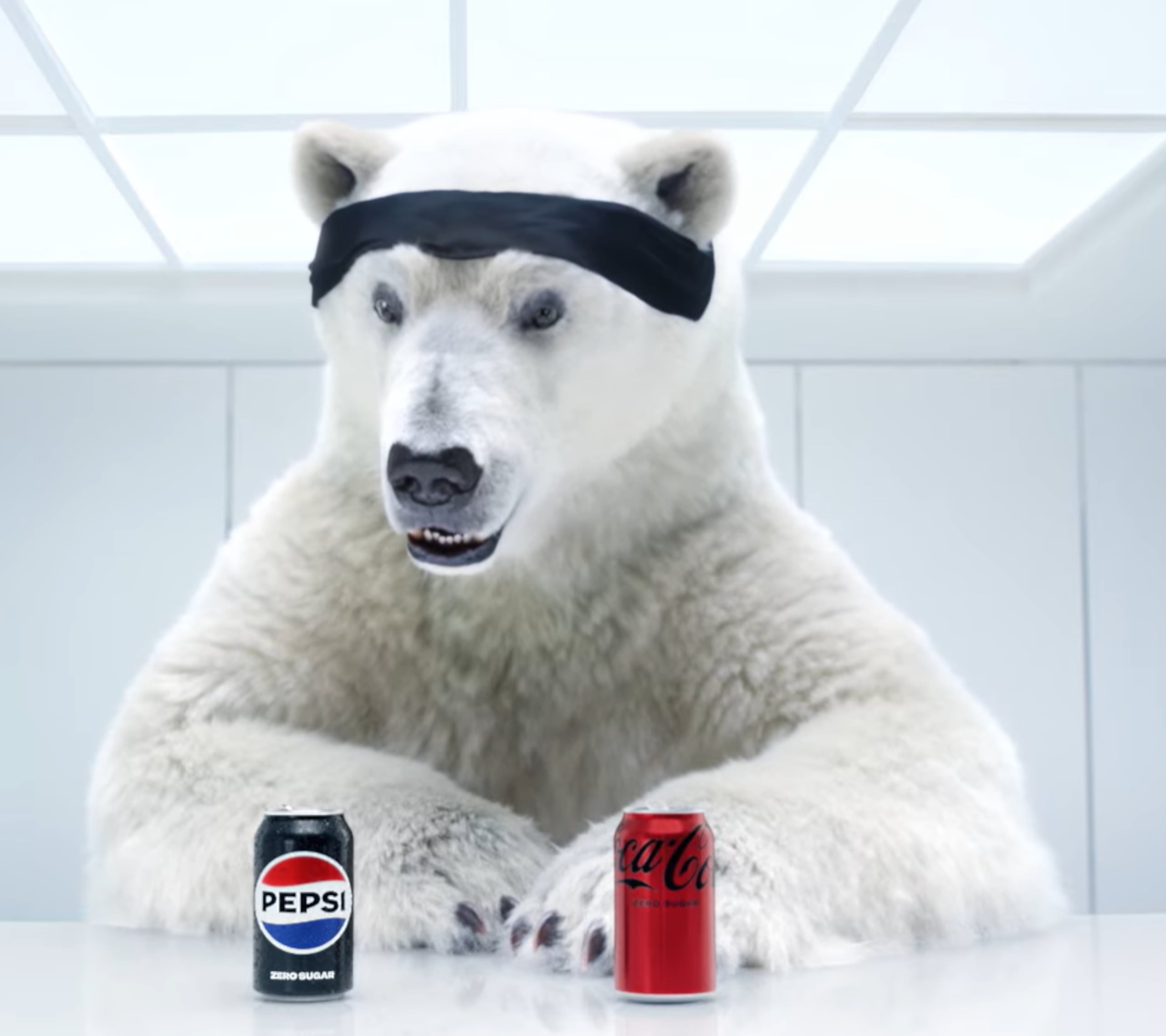 Captura del momento en que el oso polar se da cuenta que seleccionó como la mejor bebida una lata de Pepsi.