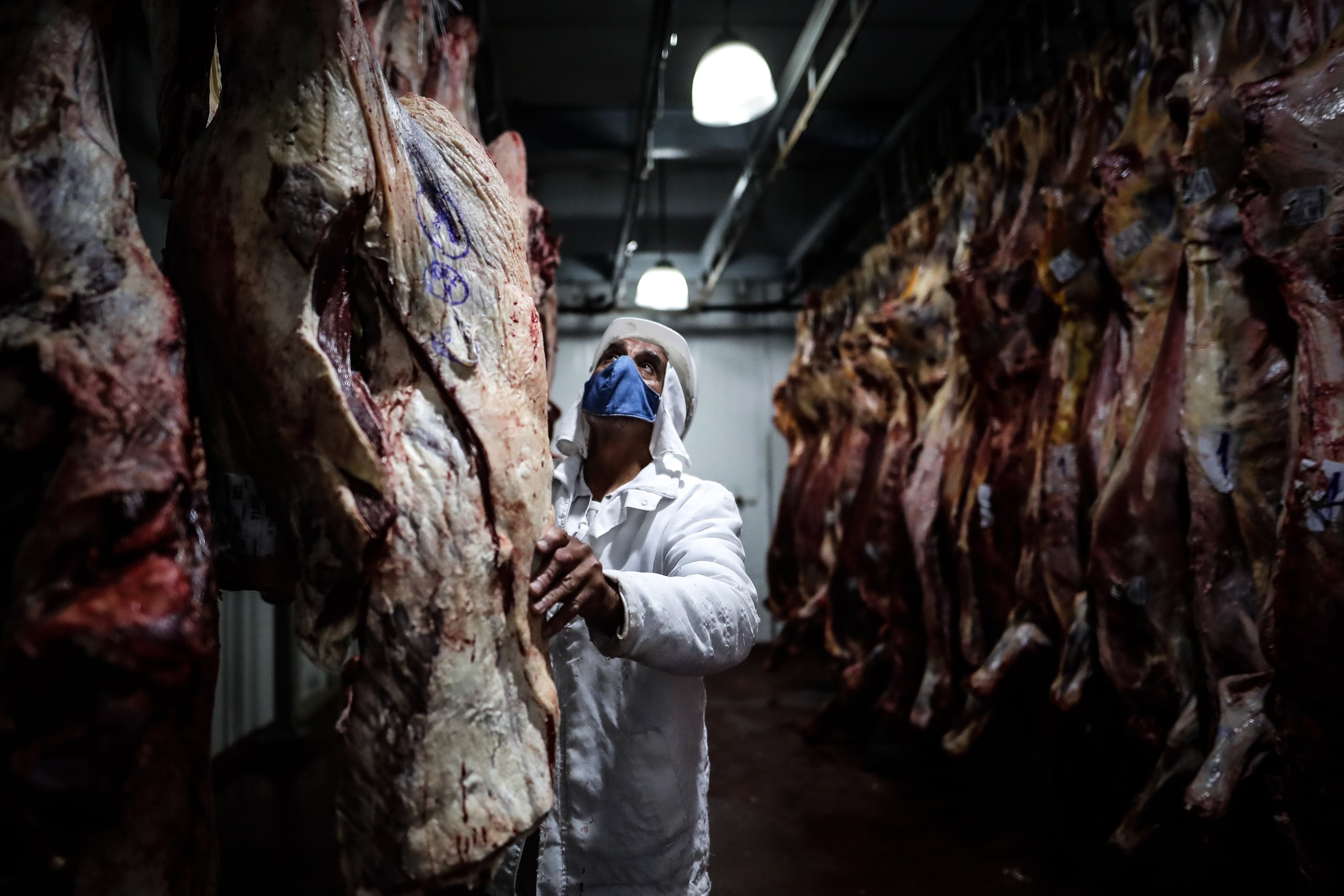 Se importarán 300,000 toneladas métricas de carne vacuna de estos países sudamericanos.