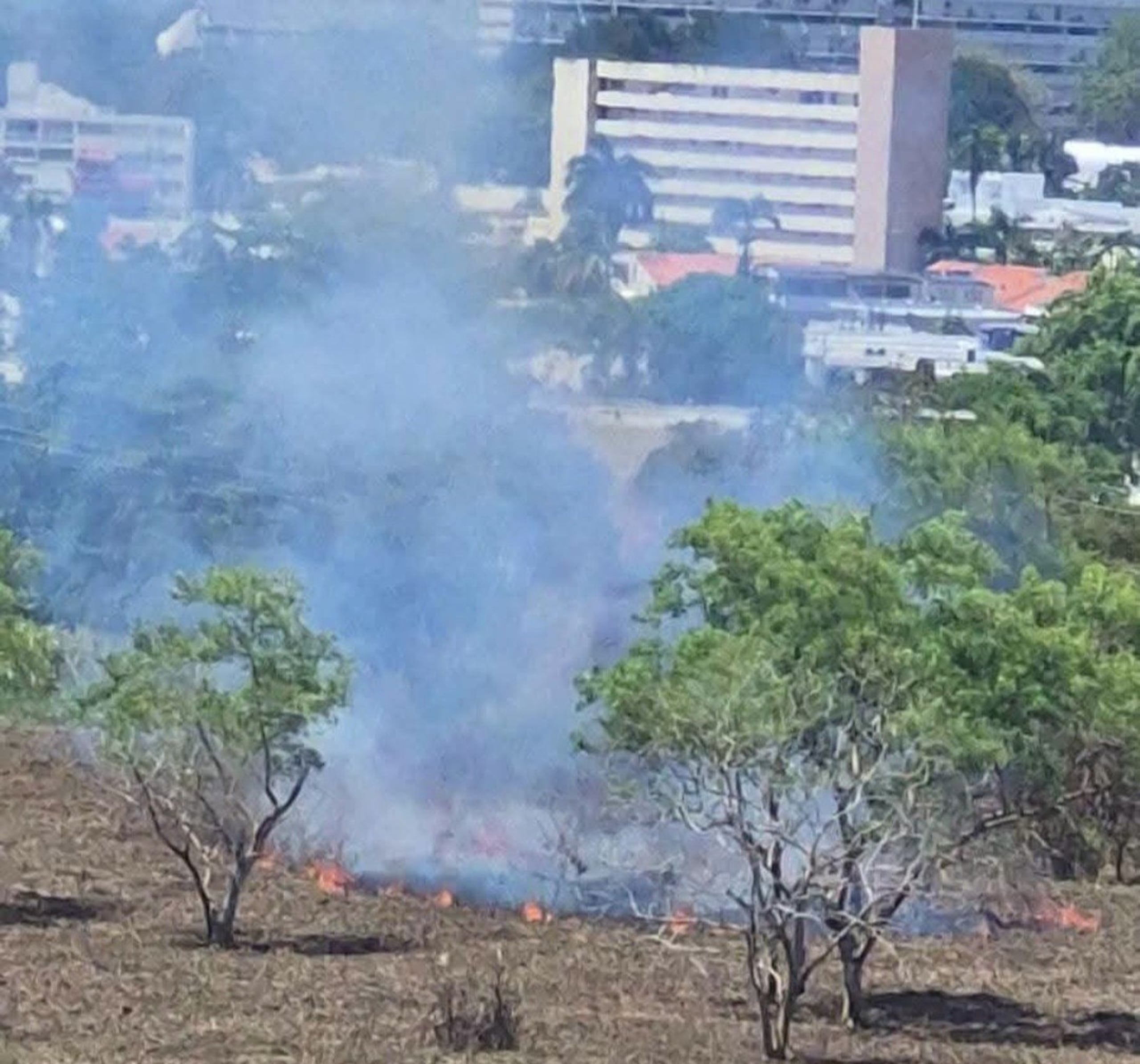 Un fuego forestal fue reportado en terrenos del Jardín Botánico de la Universidad de Puerto Rico, en Río Piedras.