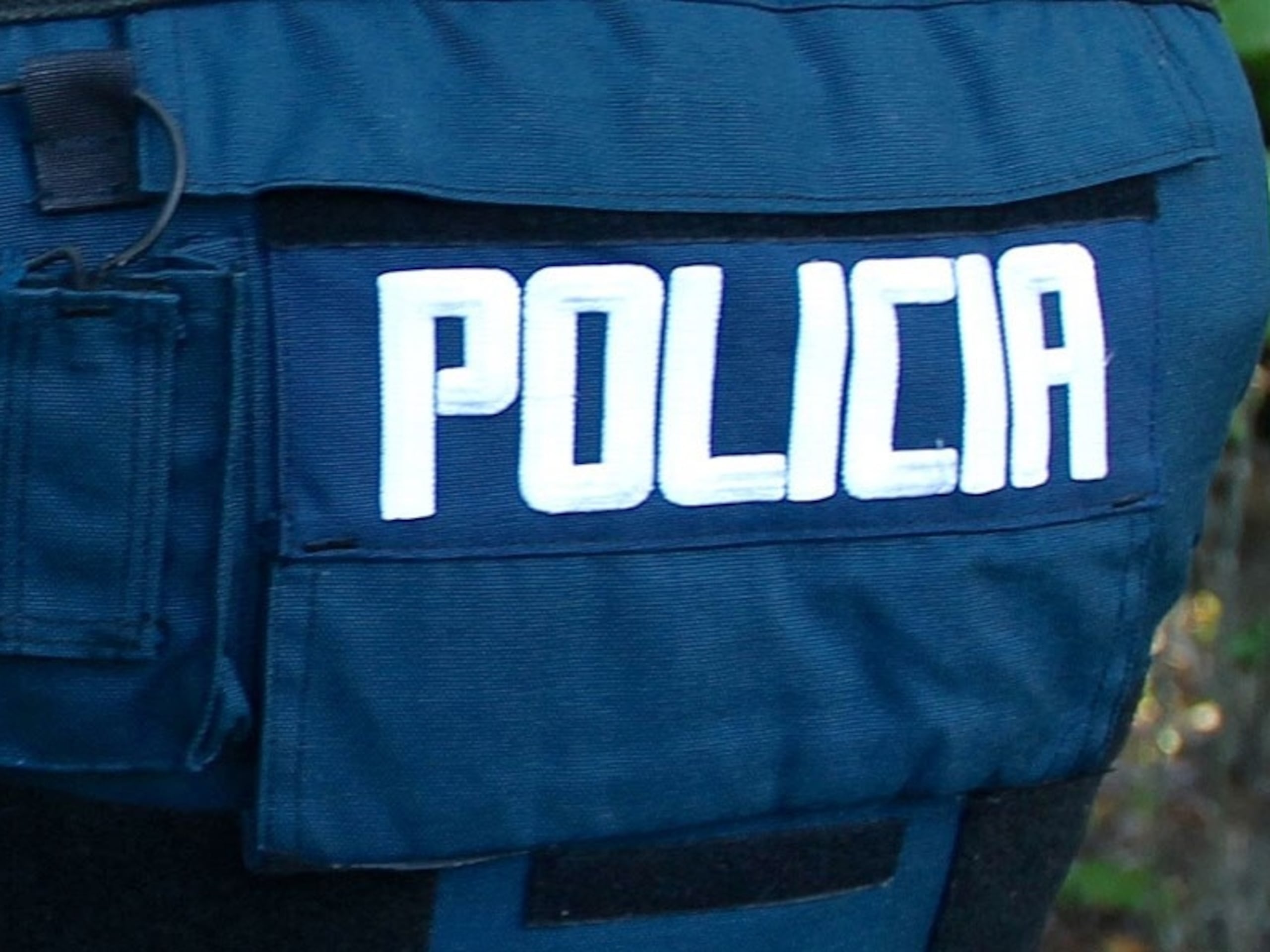 La Policía investiga el robo de los equinos. (GFR Media)