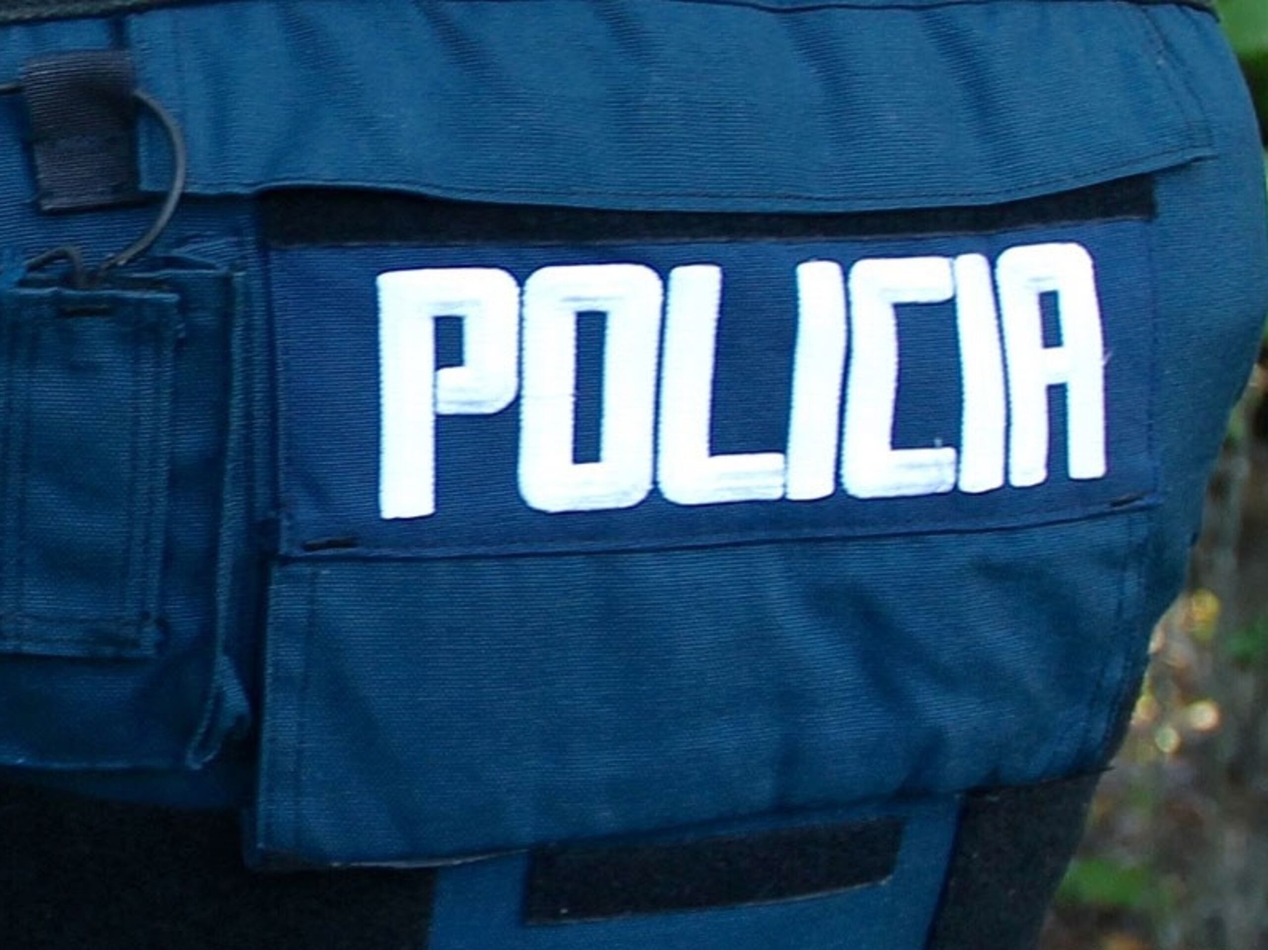 La Policía investiga el robo de los equinos. (GFR Media)