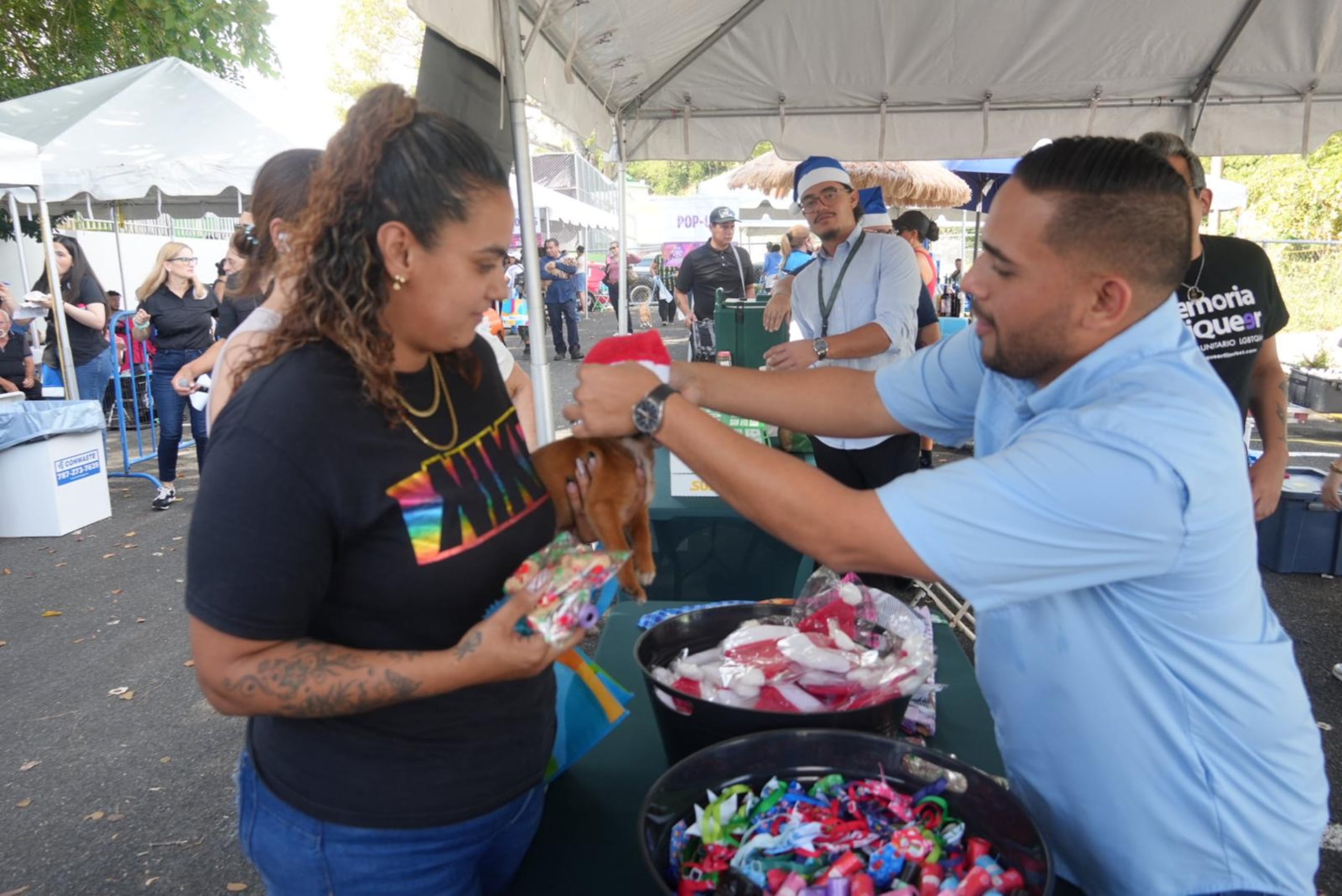 Vacunación de mascotas.