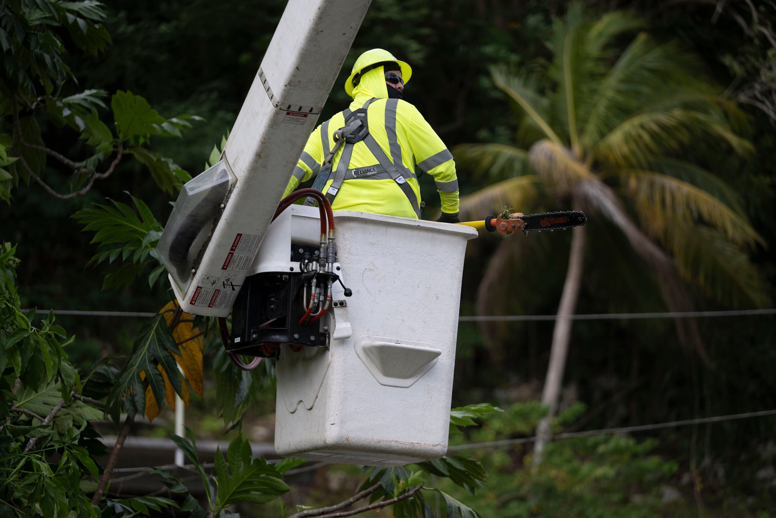 16 de junio de 2026. Toa Baja, PR. MCD/NOTICIAS. La compañía Wright Tree Service, subcontratada por LUMA Energy lleva a cabo trabajos de desganche en la periferia de tendido eléctrico a lo largo de la carretera PR-2. FOTO POR: Carlos Rivera Giusti / GFR Media
Wright Tree Service, LUMA Energy, Desganche, Material Vegetativo, Tendido Eléctrico, Autoridad de Energía Eléctrica