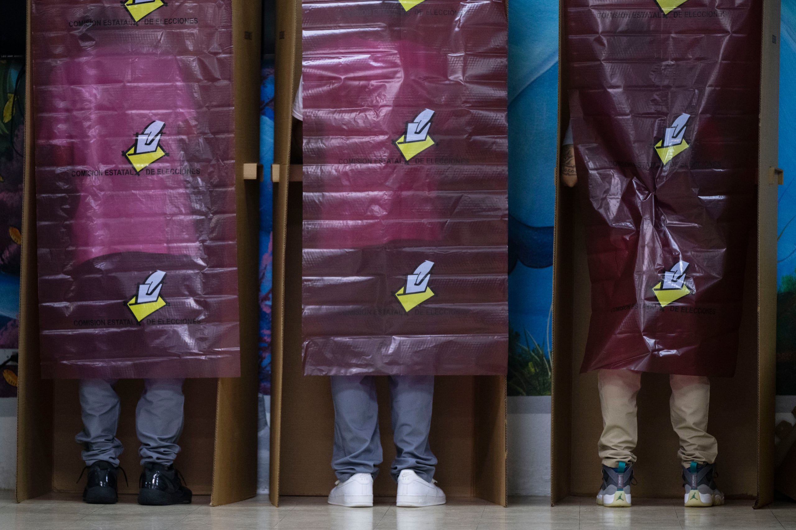 ACLU anotó que eliminar el derecho al voto de ciertos confinados no solo afecta el derecho reconocido mediante ley desde 1980, sino que quebranta directamente los mandatos de la Constitución de Puerto Rico, que establece en su Artículo II, Sección 2 que el voto será “universal, igual, secreto y directo”.