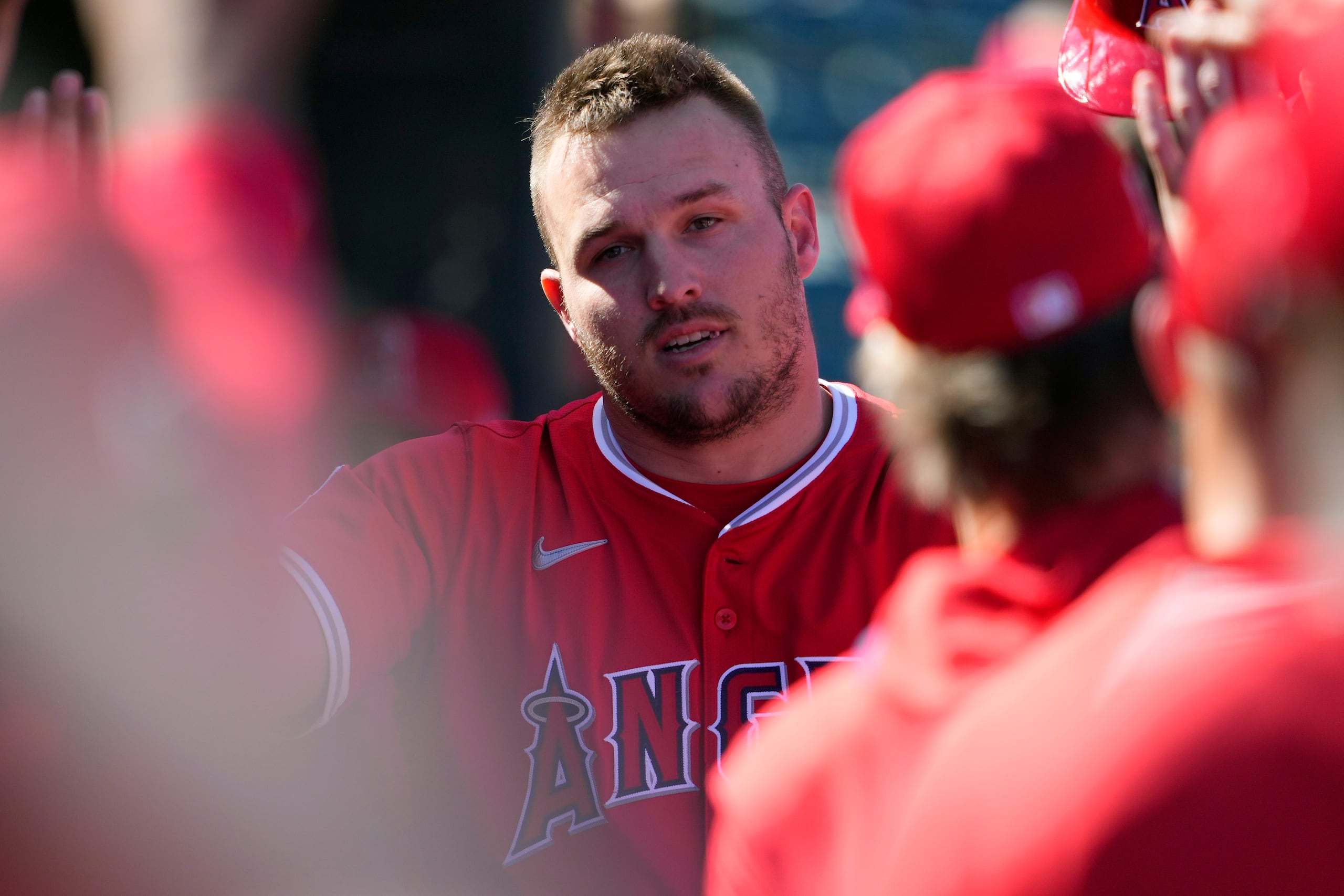 Mike Trout, de los Angels de Los Ángeles, recibe felicitaciones en la cueva luego de conectar un jonrón solitario ante los Reds de Cincinnati en el duelo de pretemporada realizado el miércoles 26 de febrero de 2025 en Tempe, Arizona.