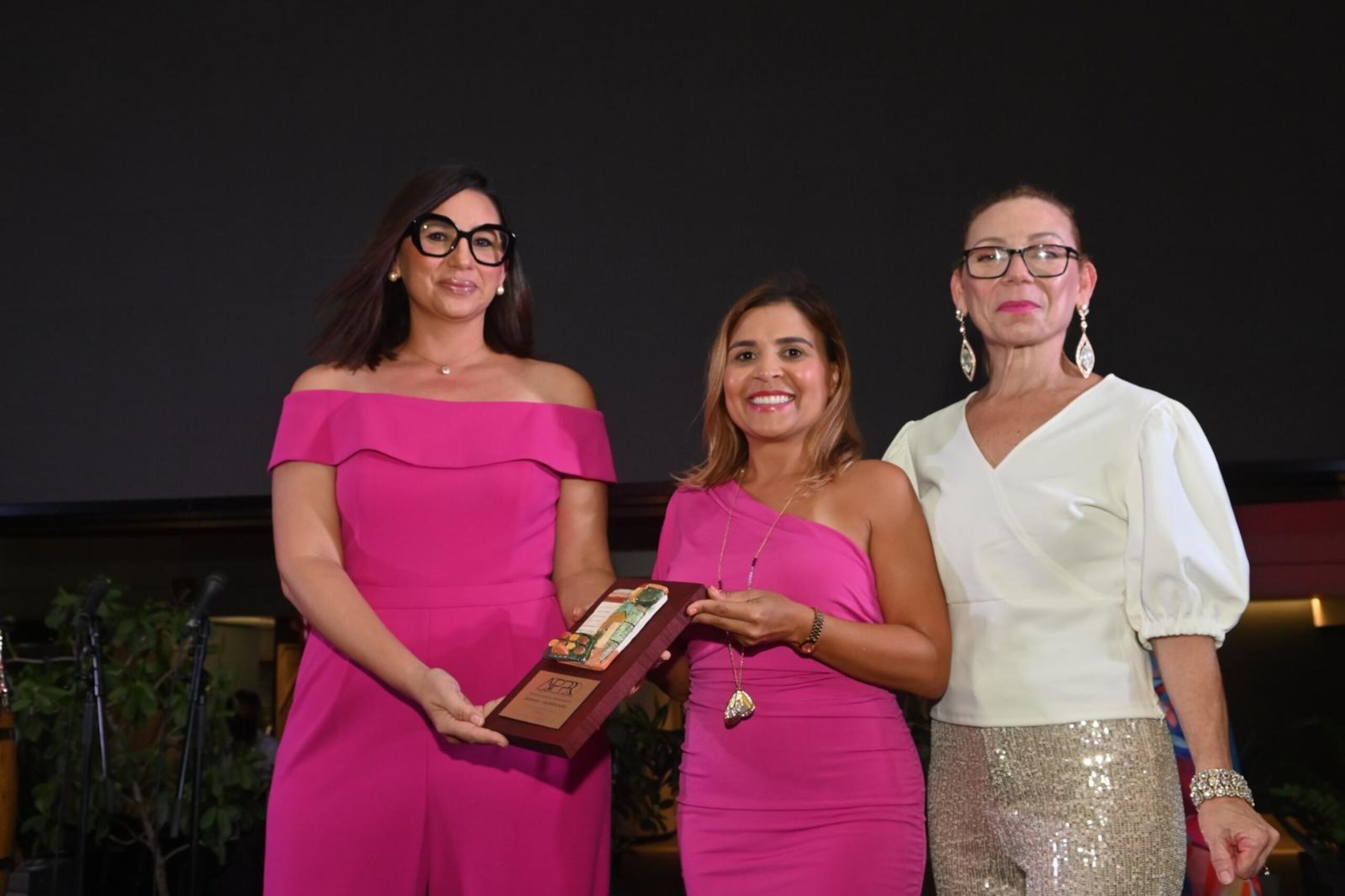 La periodista de Primera Hora Bárbara Figueroa Rosa obtuvo el galardón en la categoría de “Reportaje Especial” en prensa escrita por la historia “Devastadora realidad en Vieques”.