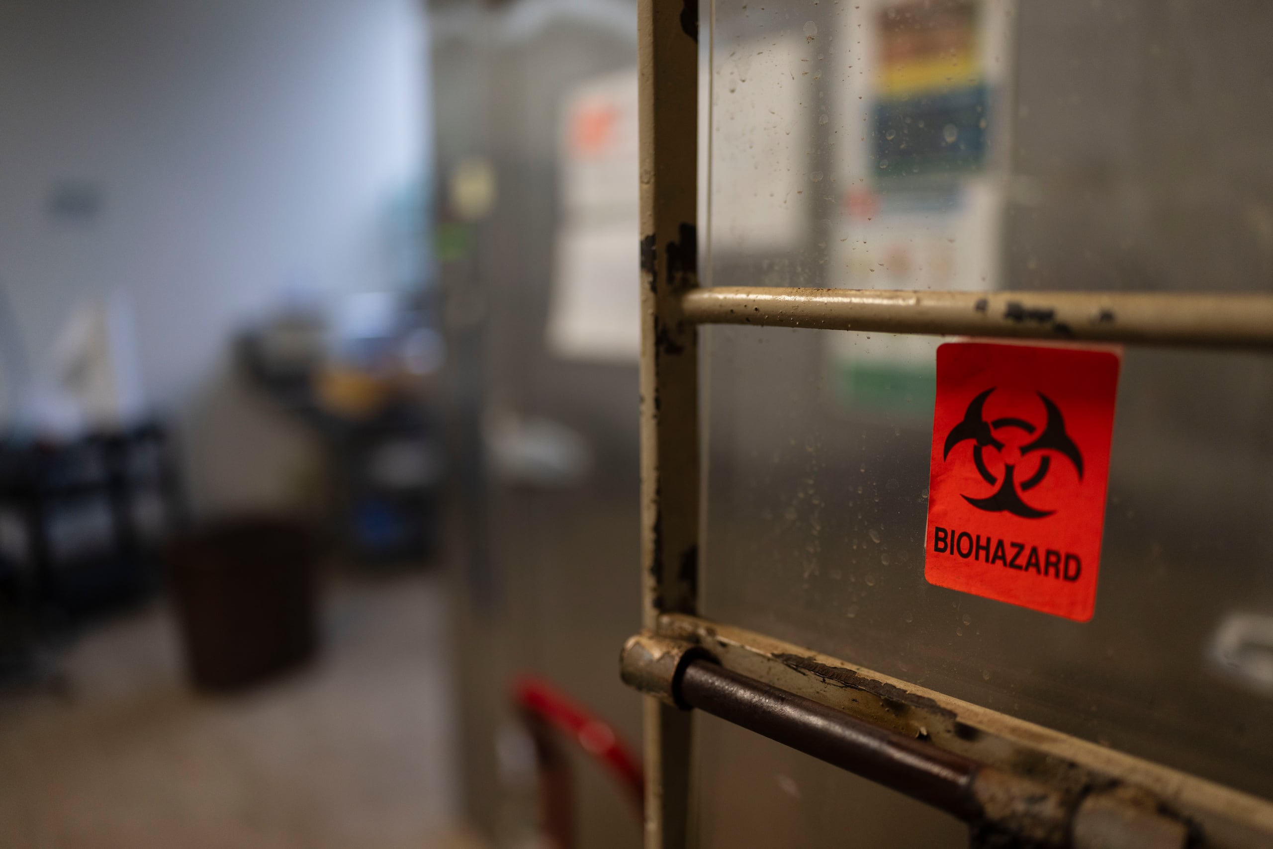 Este laboratorio, ubicado frente al Colegio Tasis de Dorado, realiza pruebas bacteriológicas, químicas, inmunológicas y patológicas a animales.