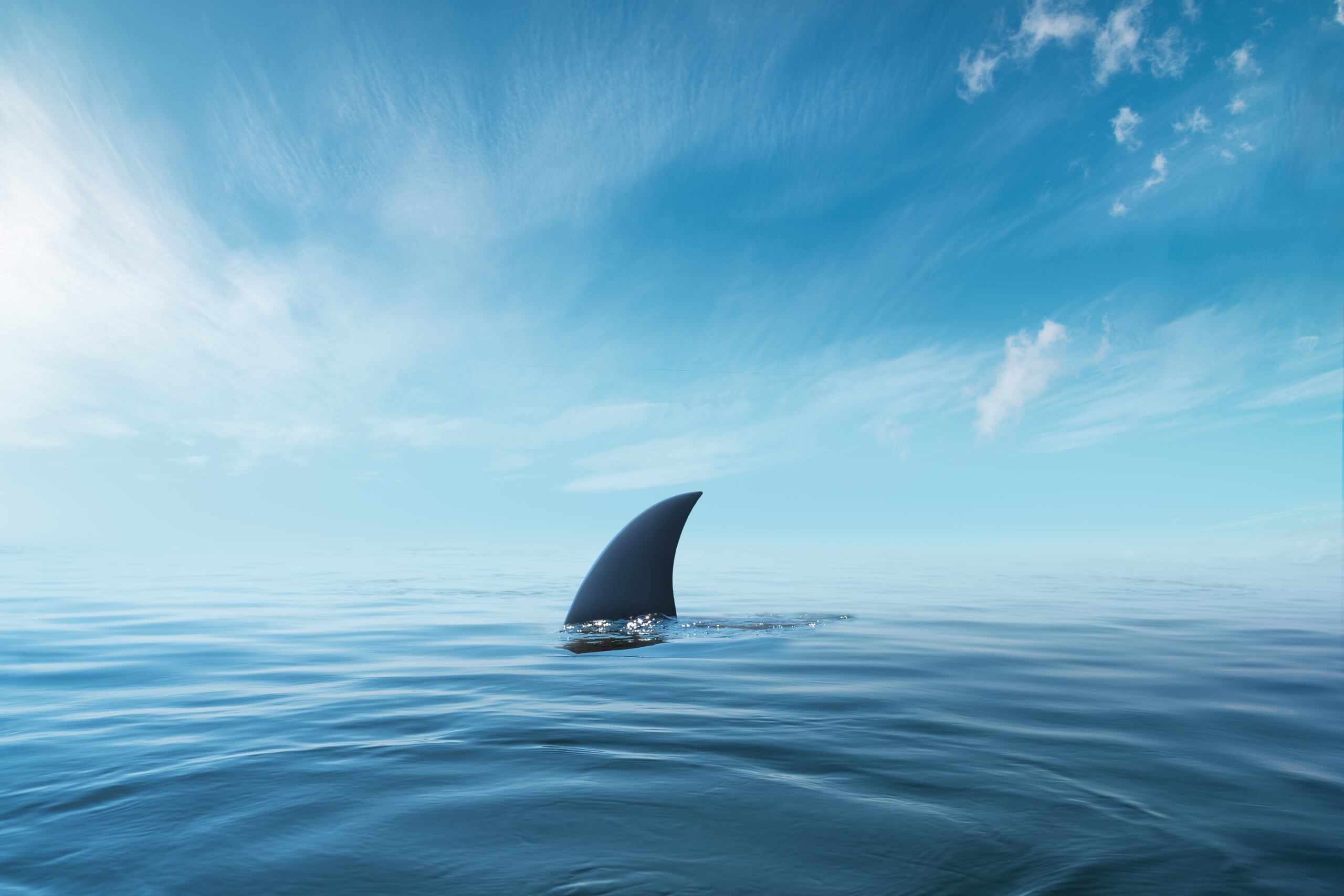 Previamente, se produjeron otros siete ataques de tiburón este año en Australia, aunque ninguno fue mortal, según la Base de Datos Australiana de Incidentes con Tiburones de la Sociedad de Conservación Taronga Australia.