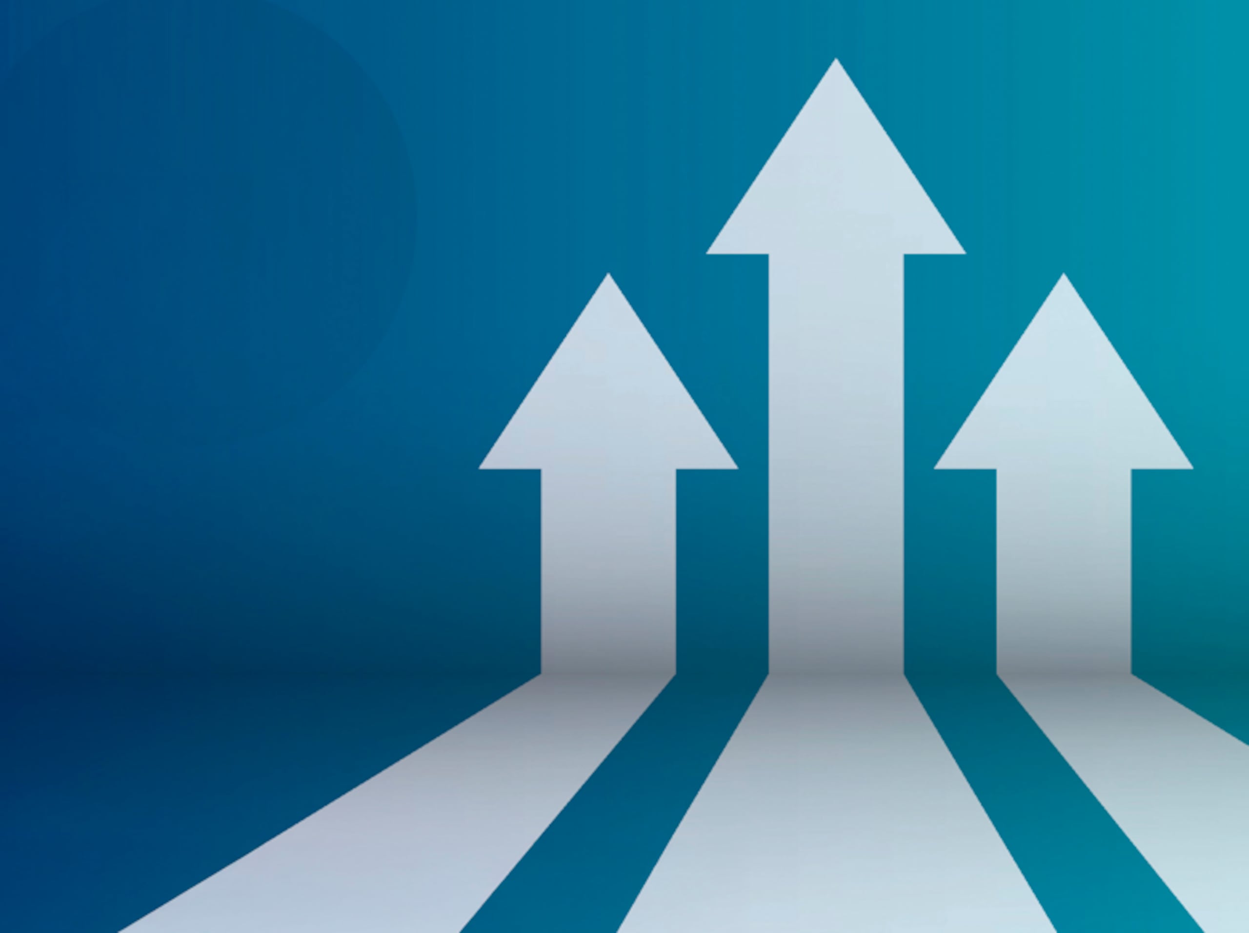 Es esencial determinar un modelo de negocio sostenible e implementar estrategias para mantener la rentabilidad a largo plazo.